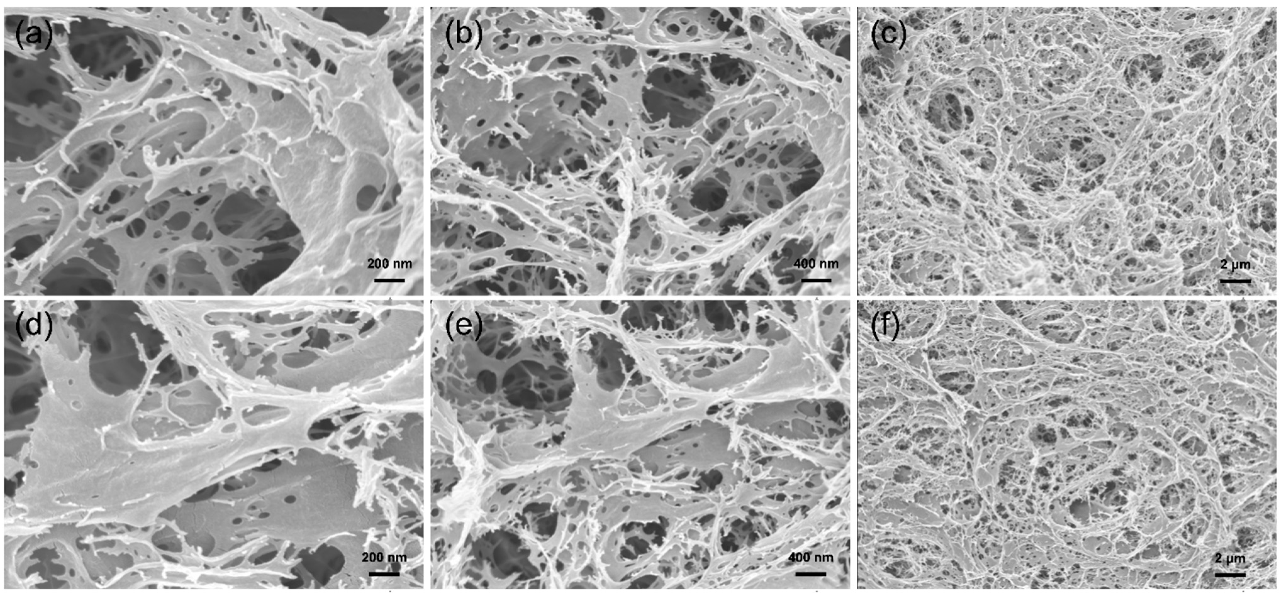 Materials 16 02761 g005