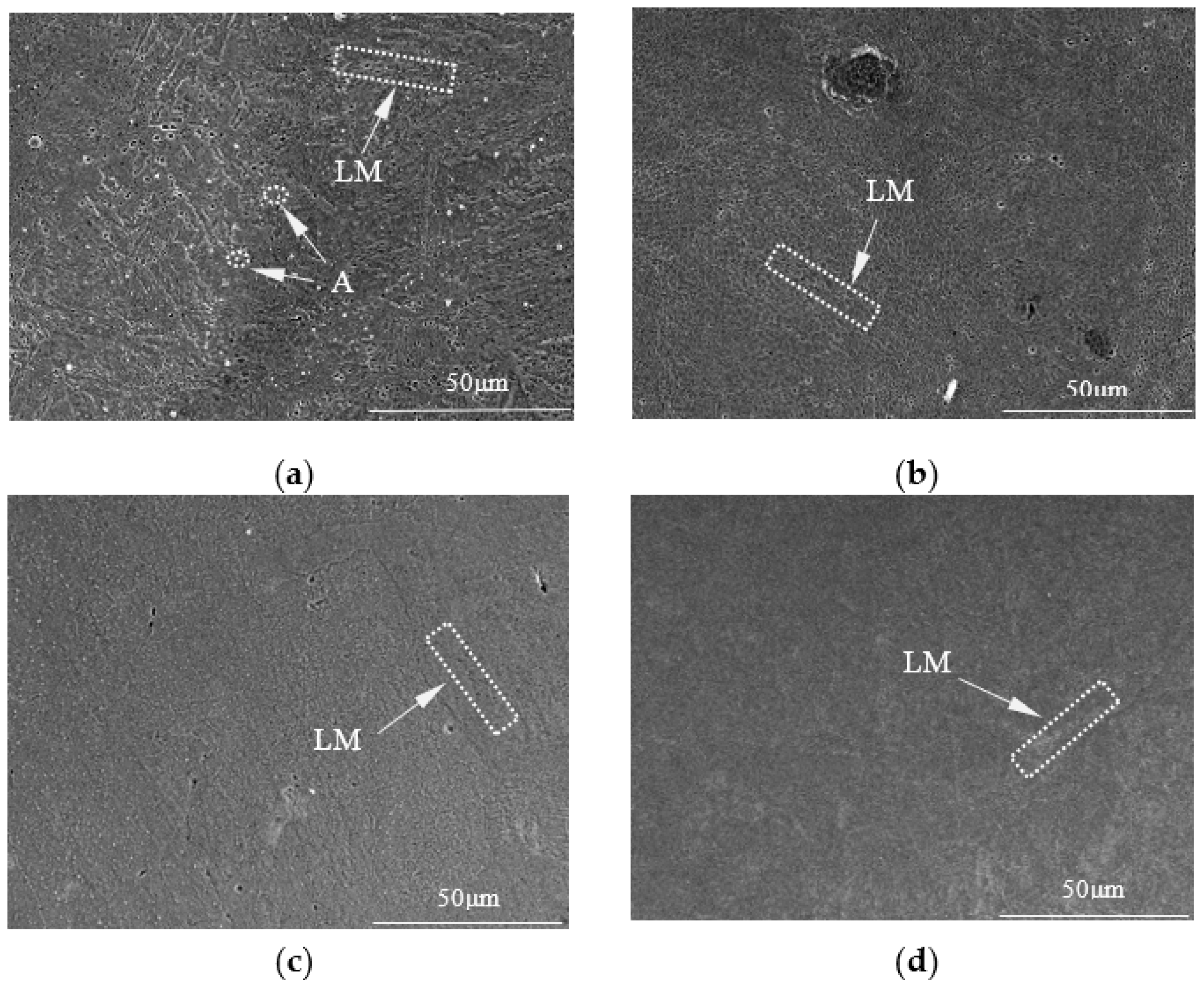 Materials 16 02774 g008