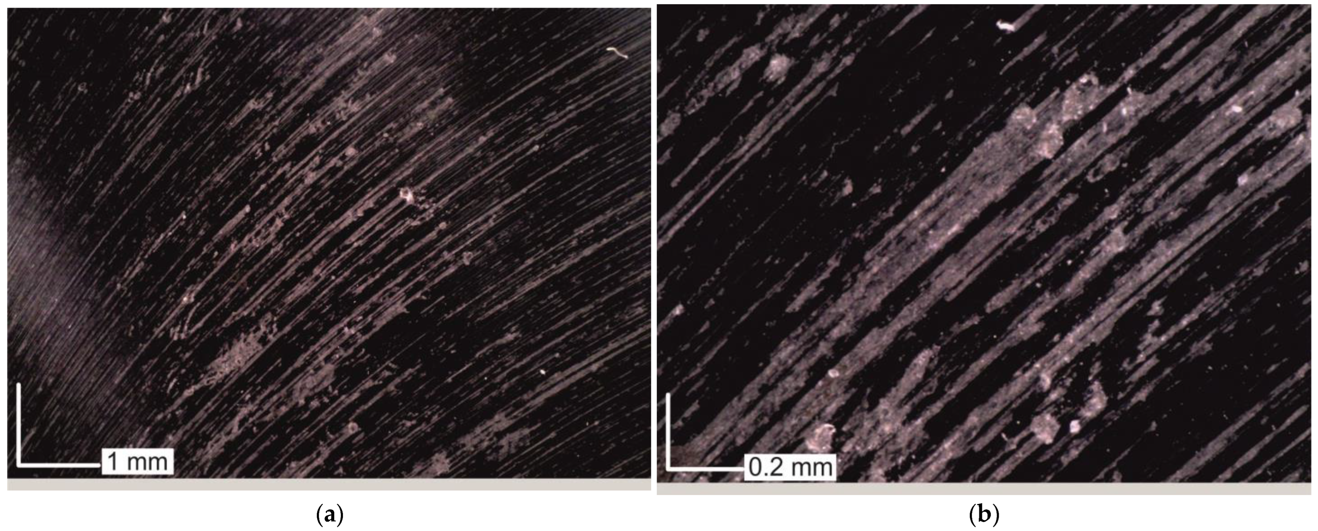 Materials 16 02829 g010 Materials 16 02829 g010