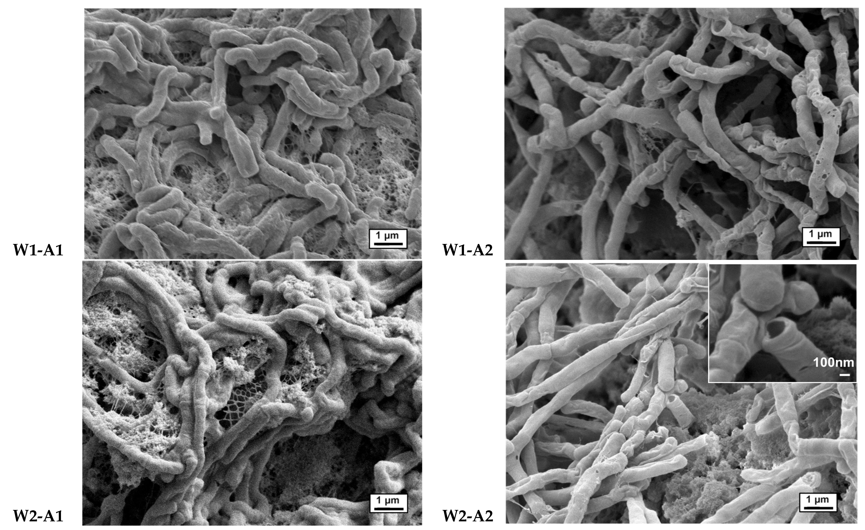 Materials 16 02831 g005 Materials 16 02831 g005