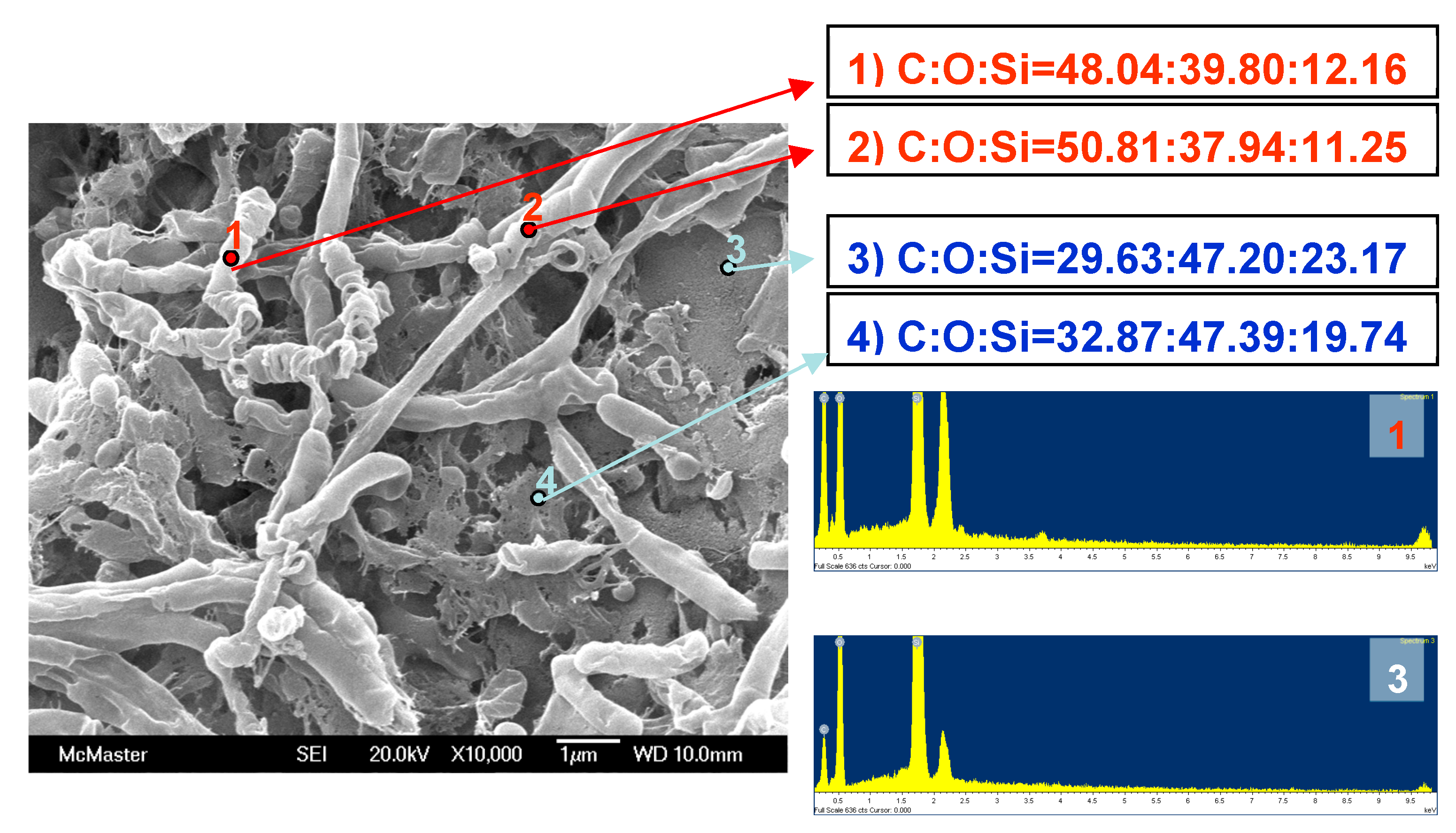 Materials 16 02831 g006 Materials 16 02831 g006