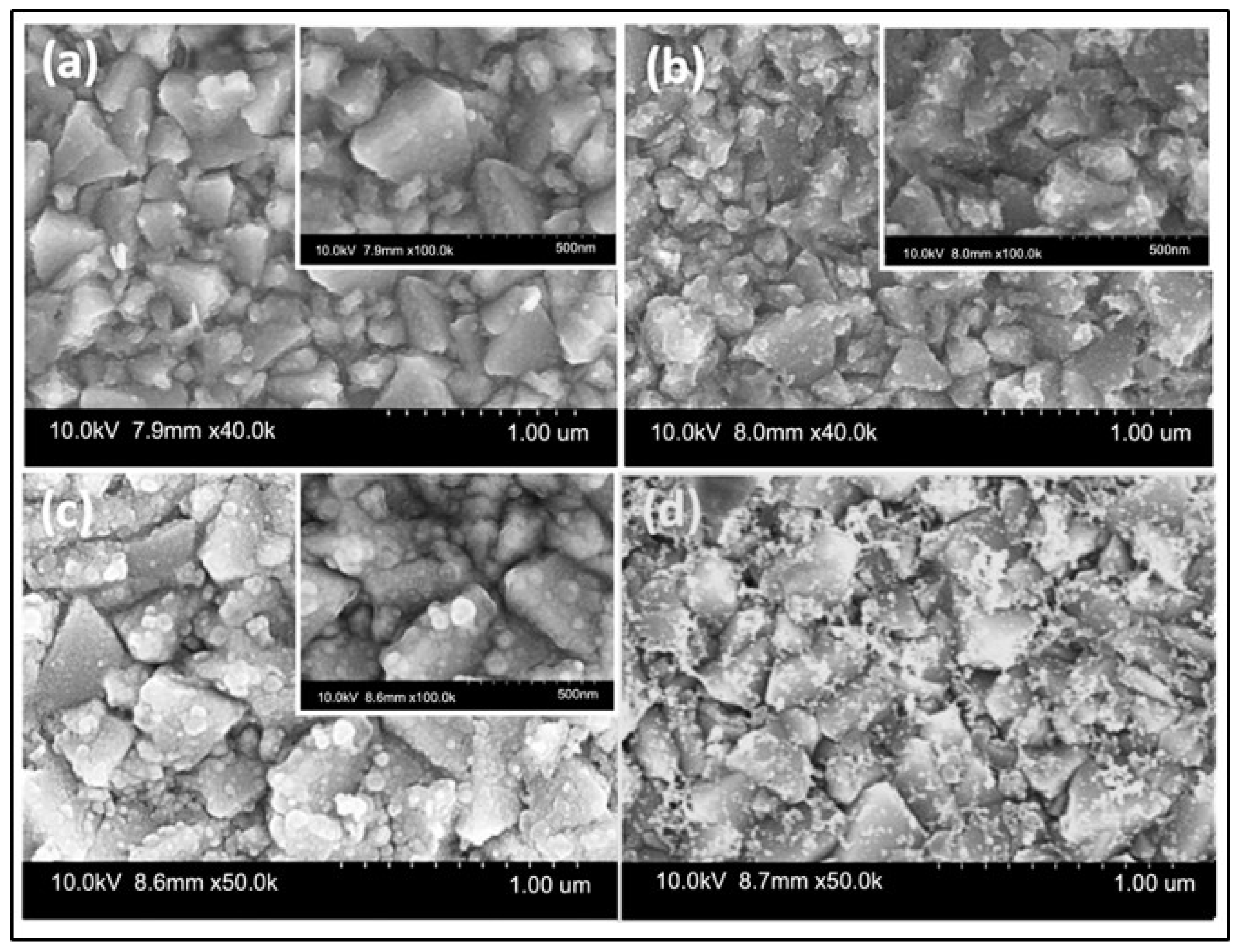 Materials 16 02881 g010