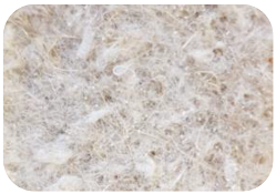 Materials 16 02900 i005