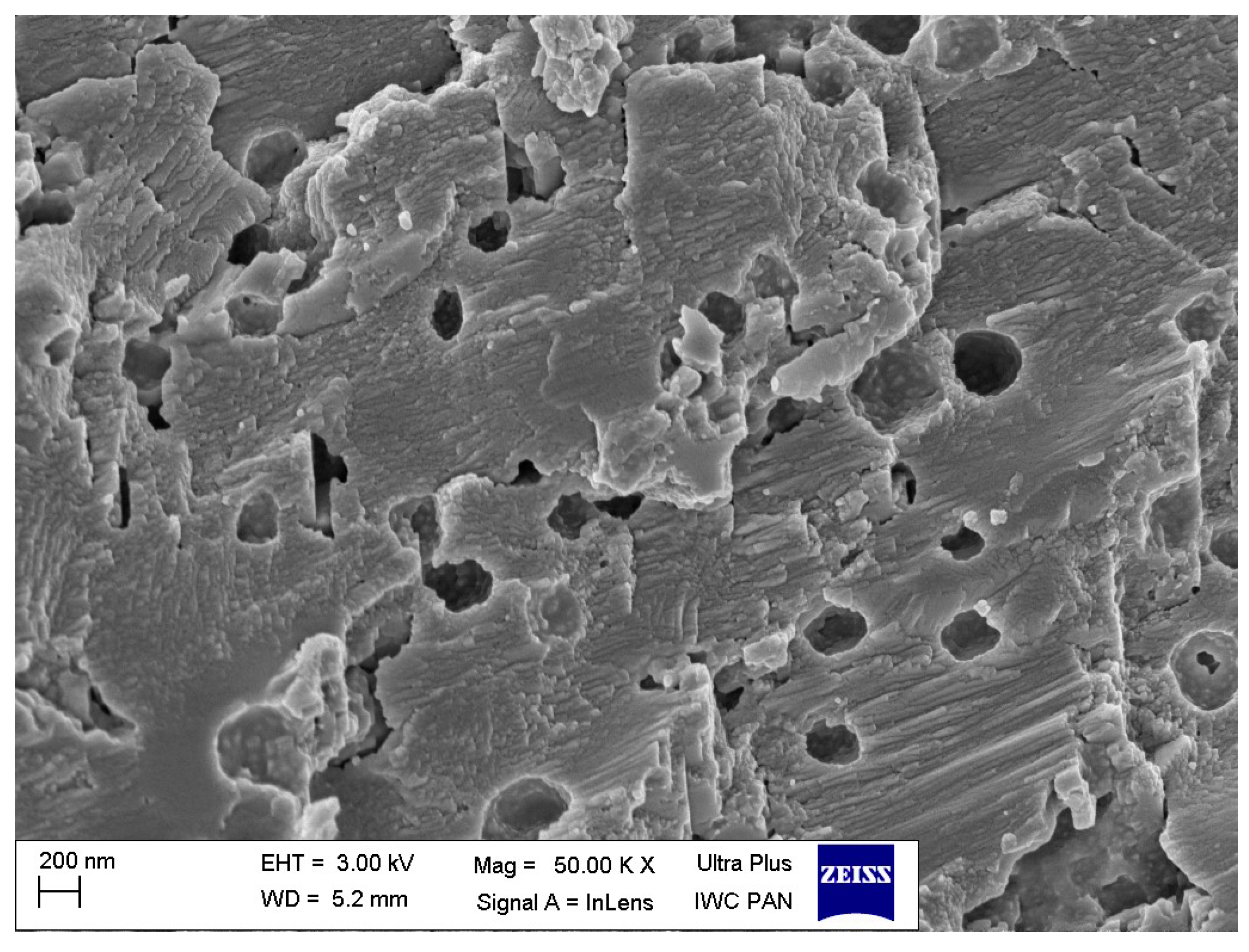 Materials 16 02988 g005