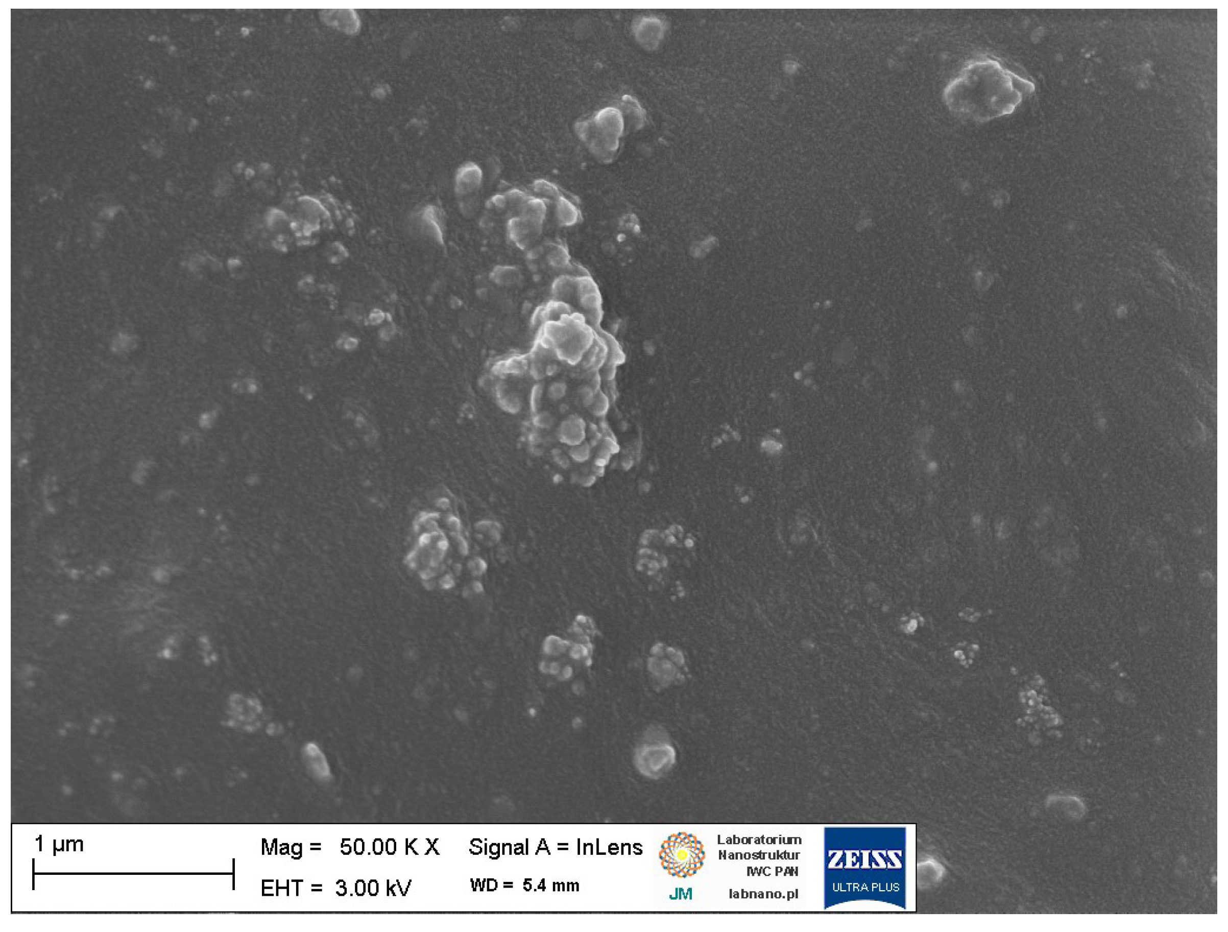 Materials 16 02988 g006