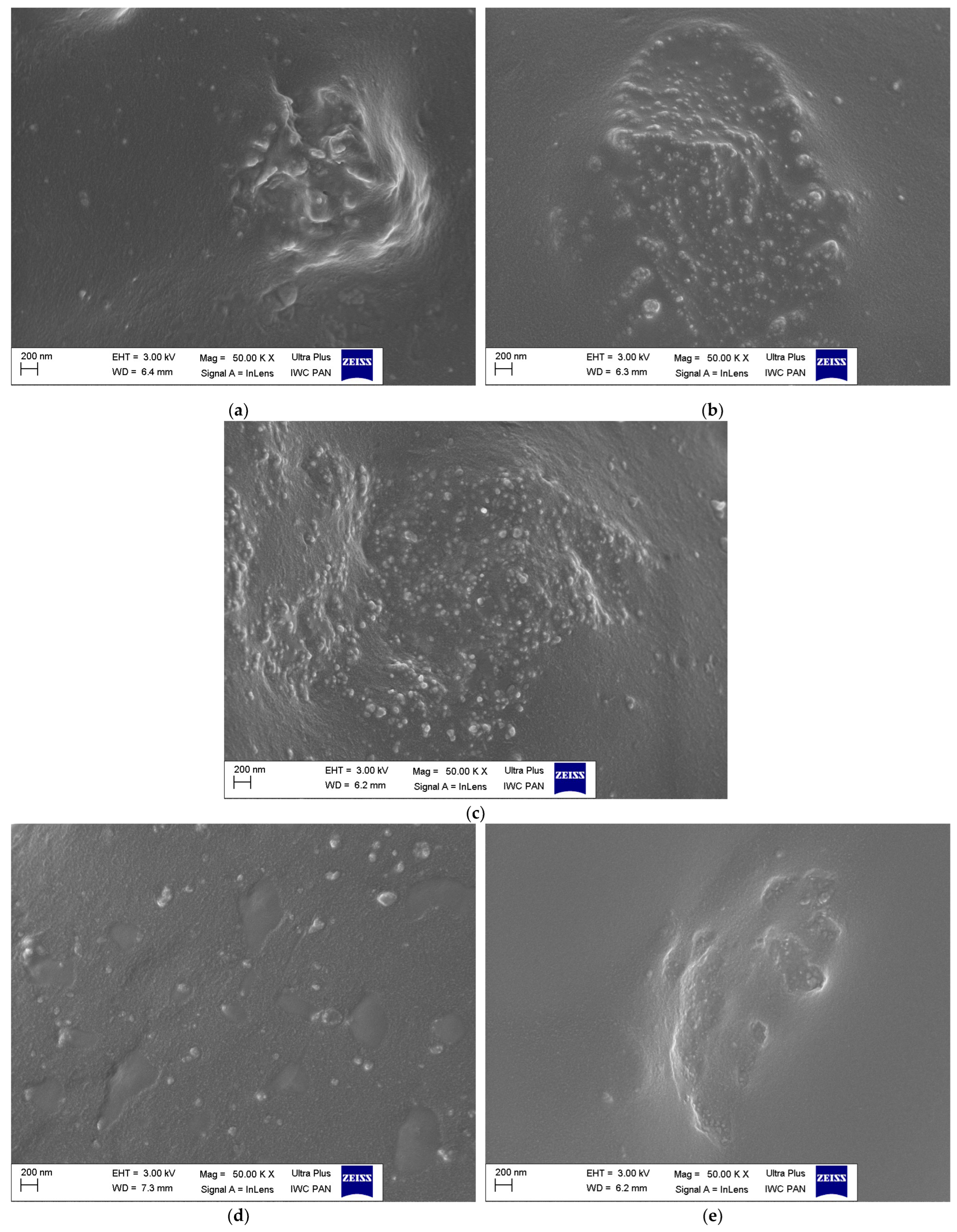 Materials 16 02988 g008