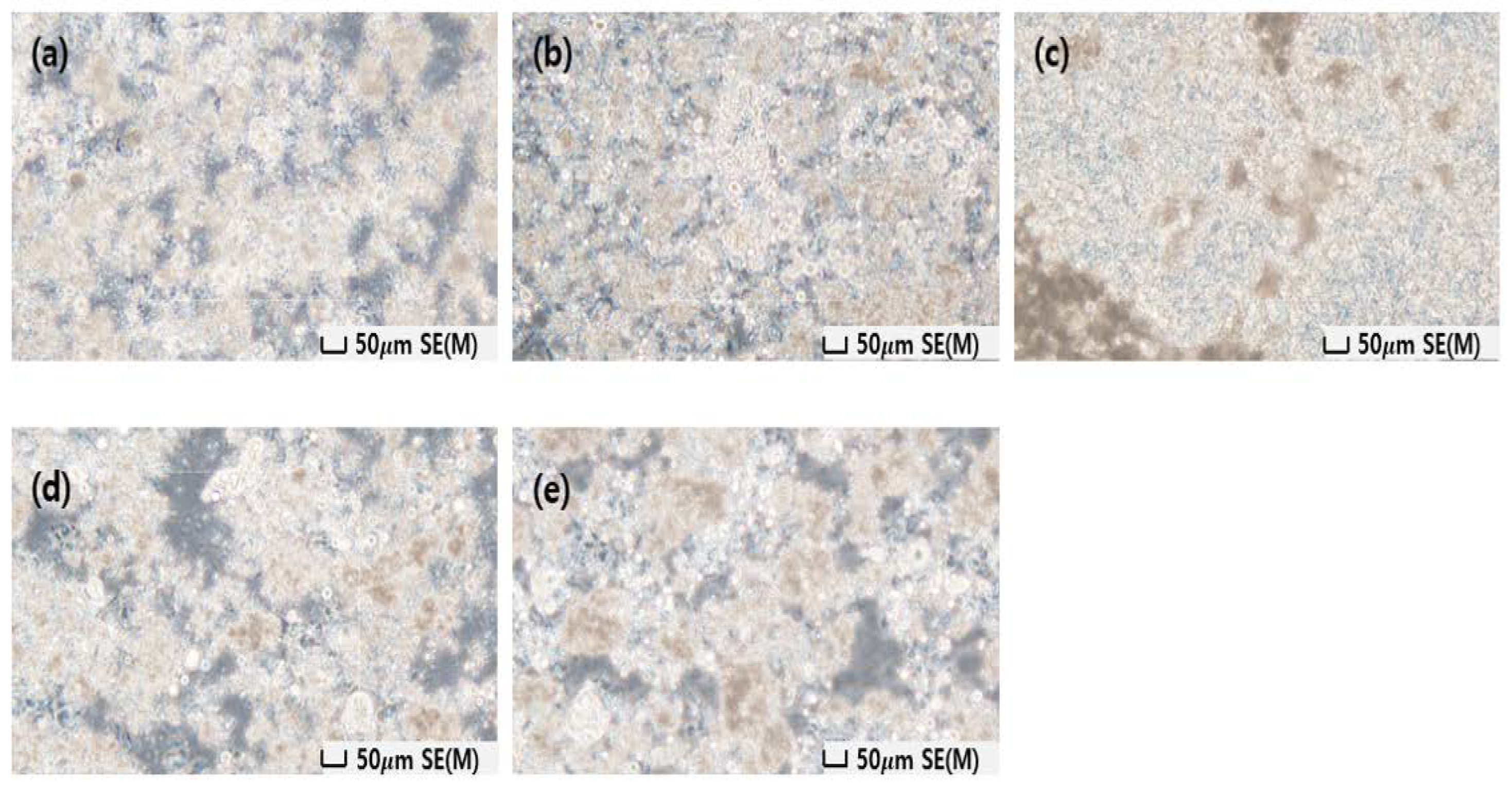 Materials 16 03059 g008