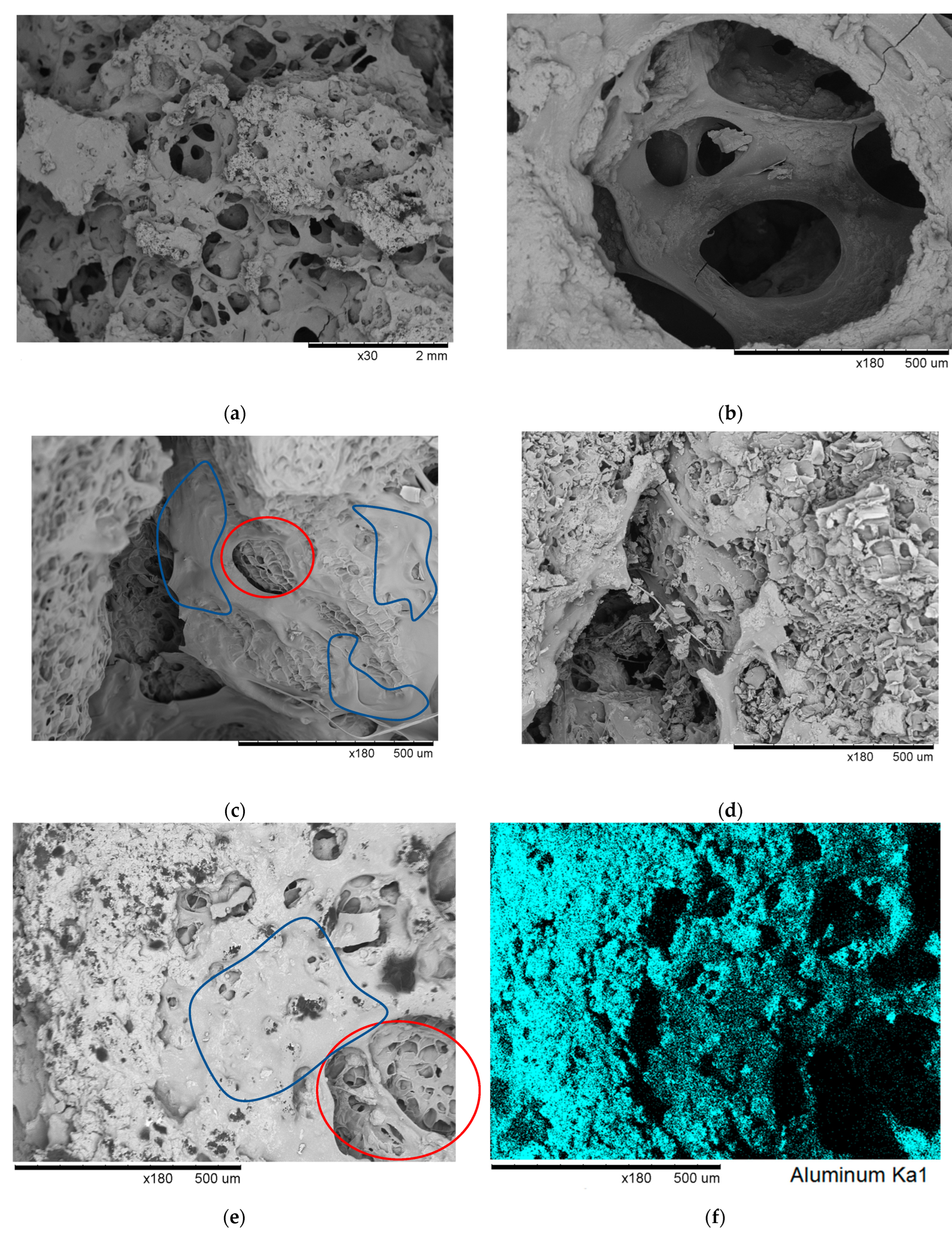 Materials 16 03063 g004 Materials 16 03063 g004
