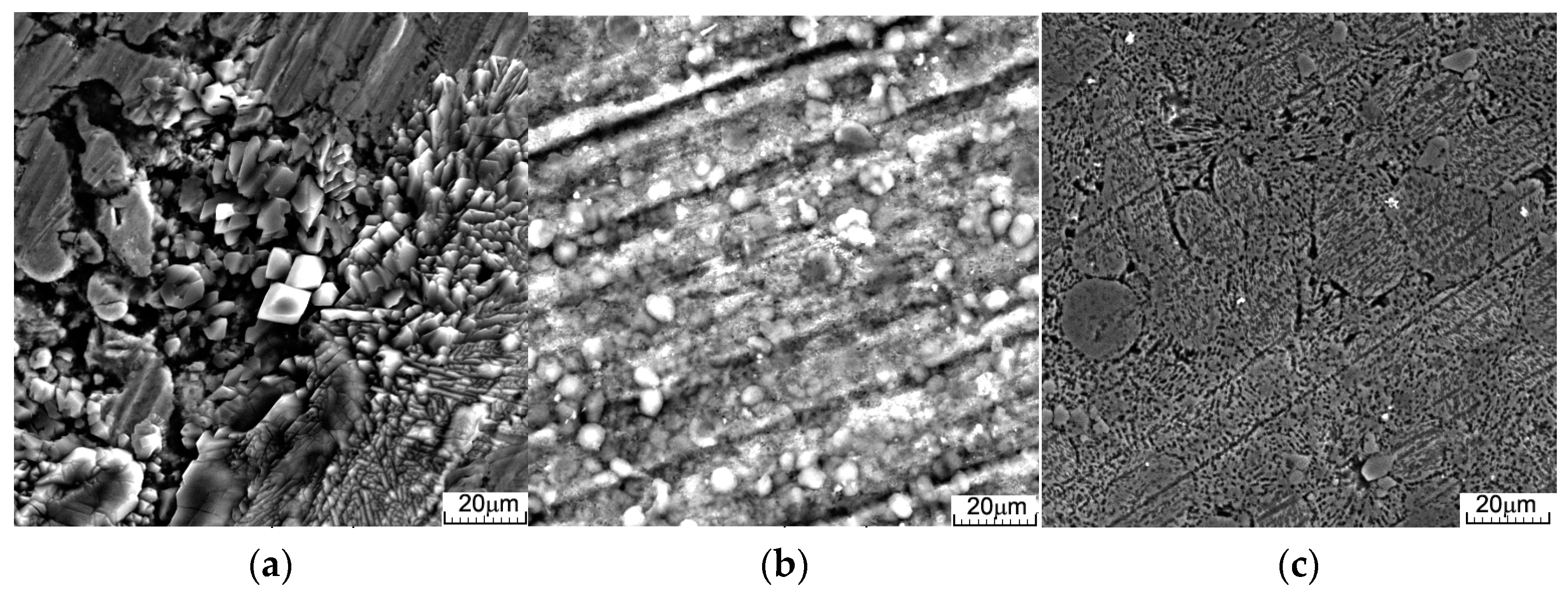 Materials 16 03092 g003a