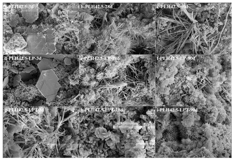 Materials 16 03110 g007