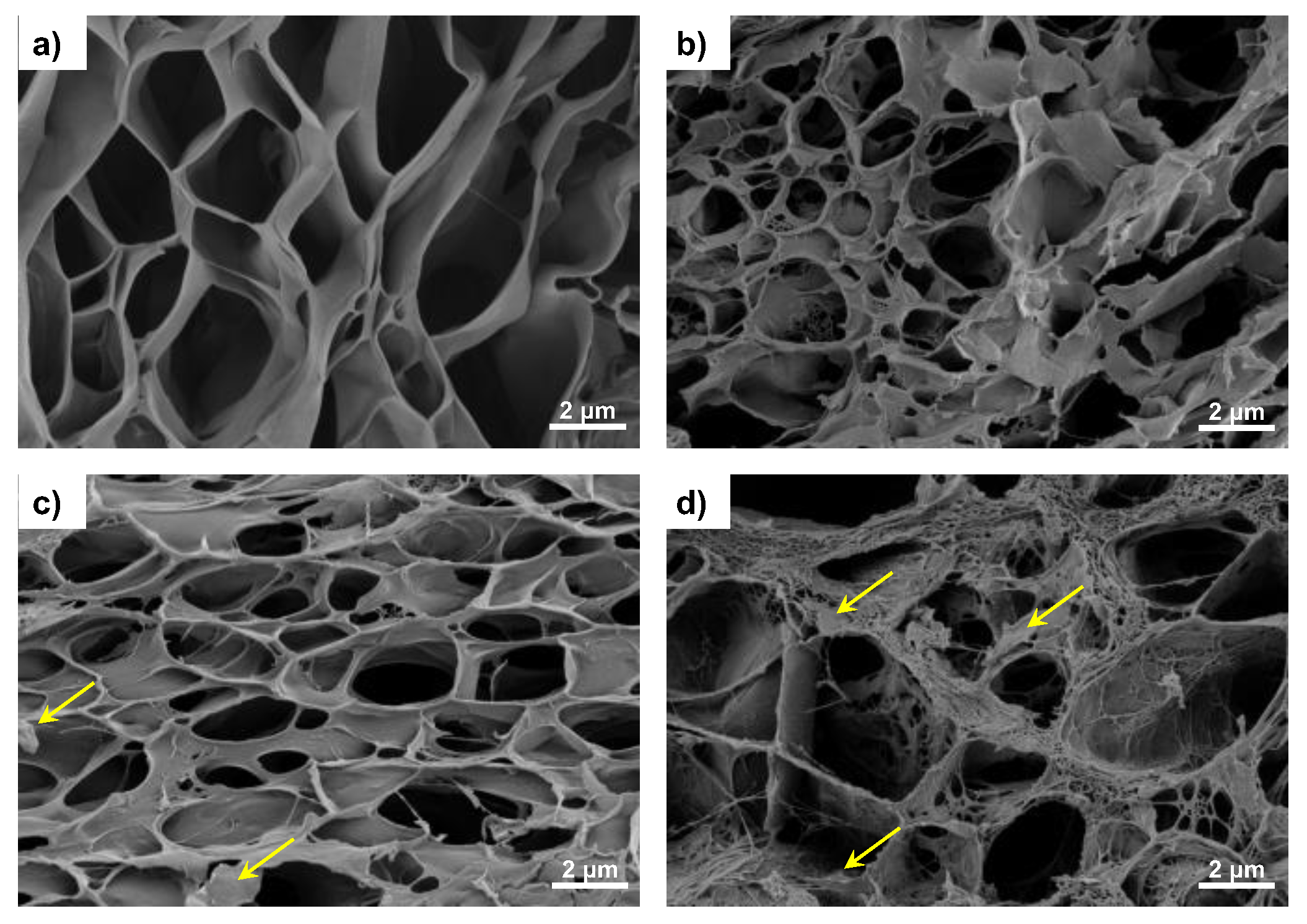 Materials 16 03114 g003 Materials 16 03114 g003
