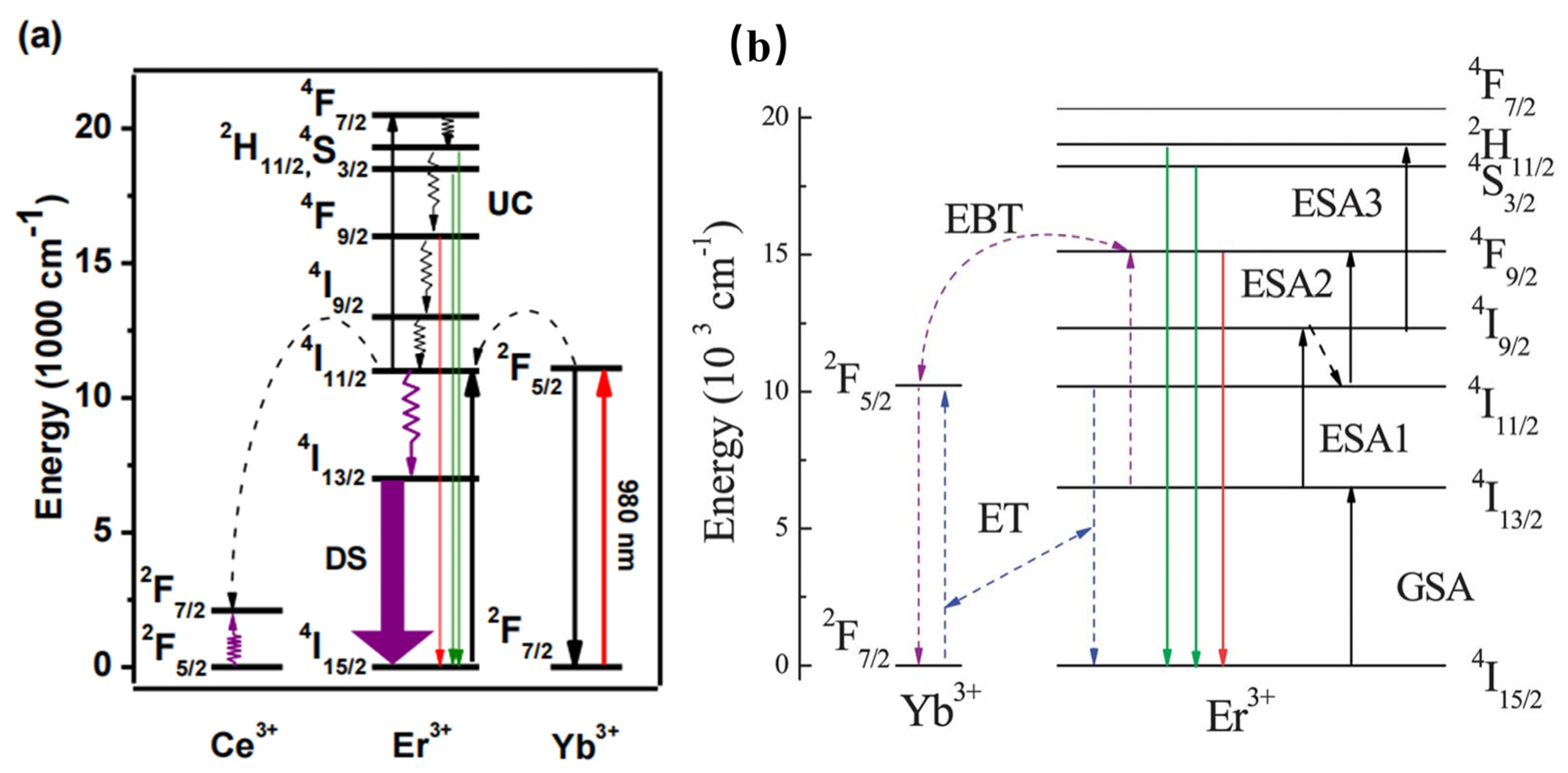 Materials 16 03145 g004