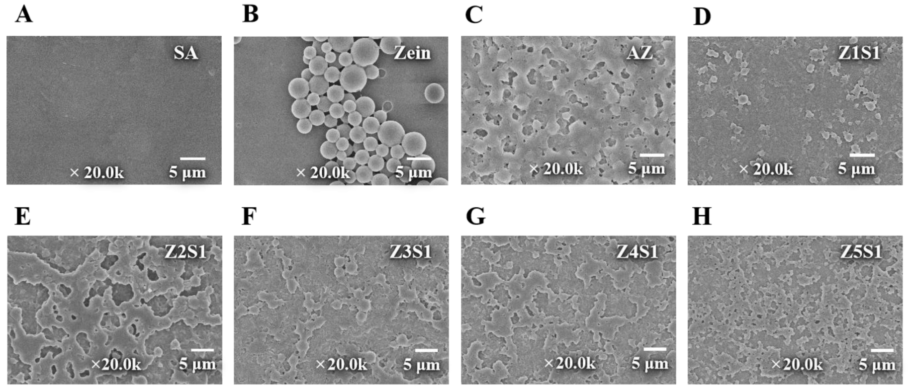 Materials 16 03164 g005