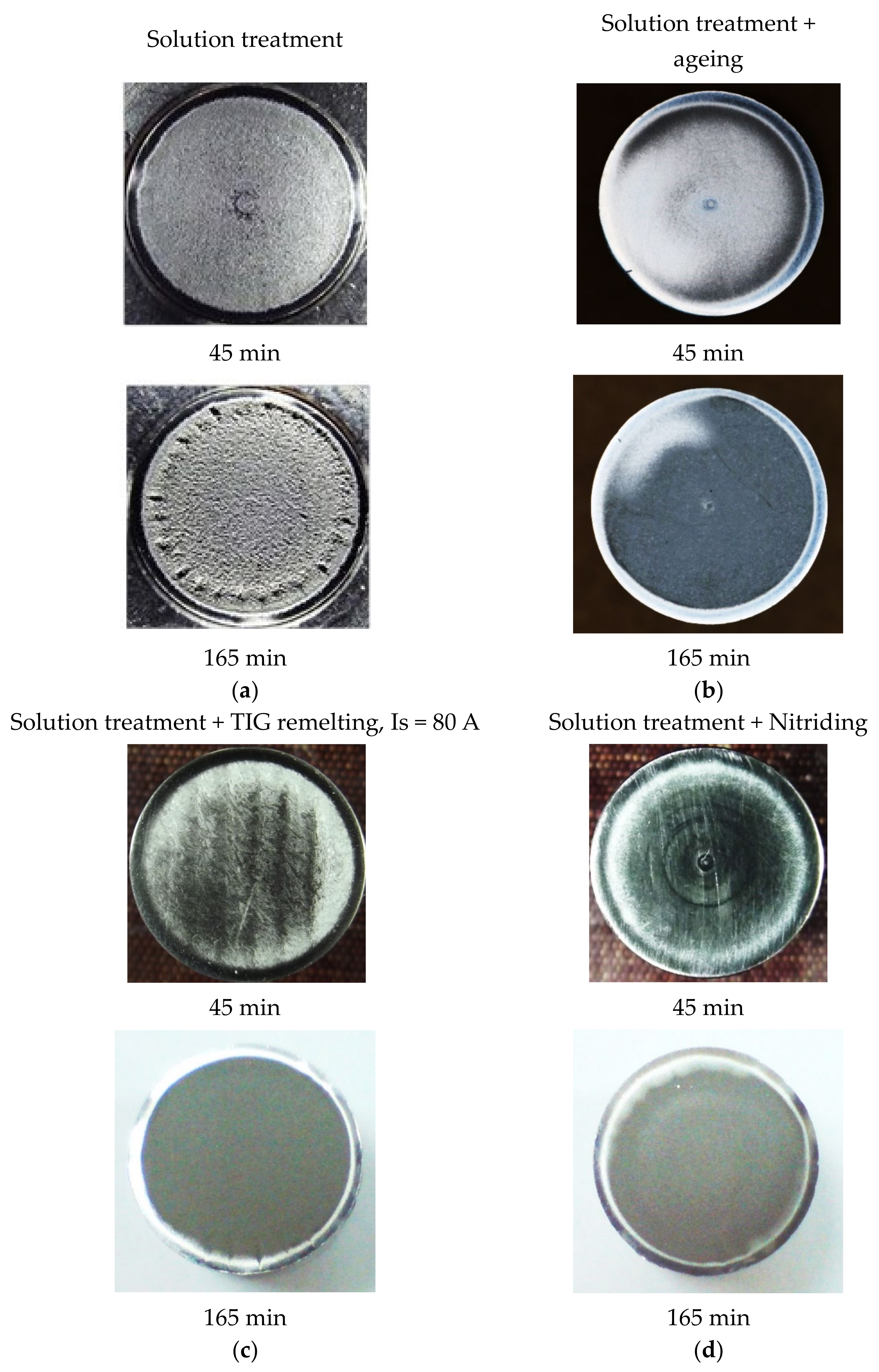Materials 16 03206 g013