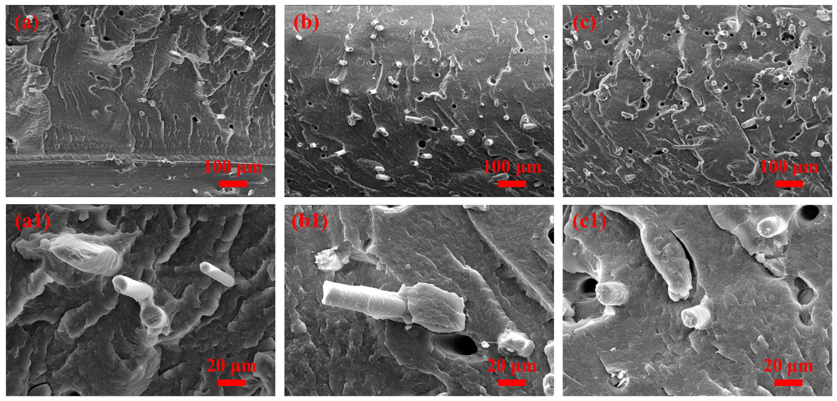 Materials 16 03237 g003