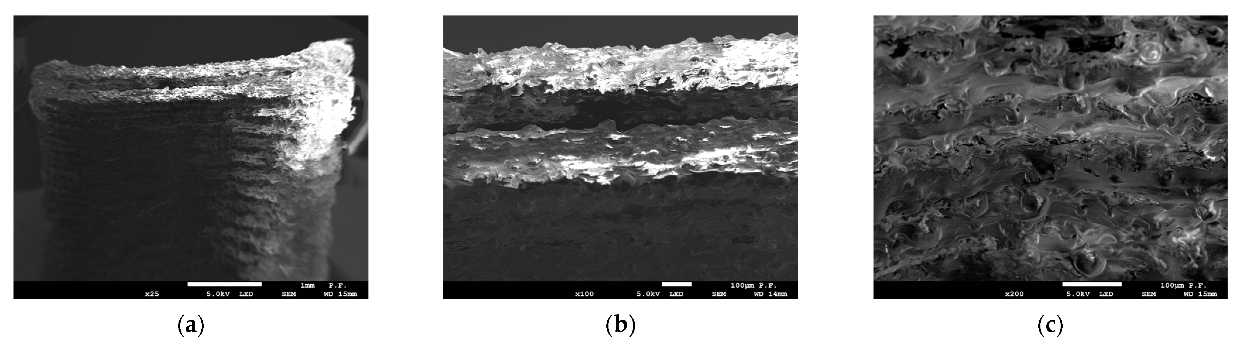 Materials 16 03241 g008