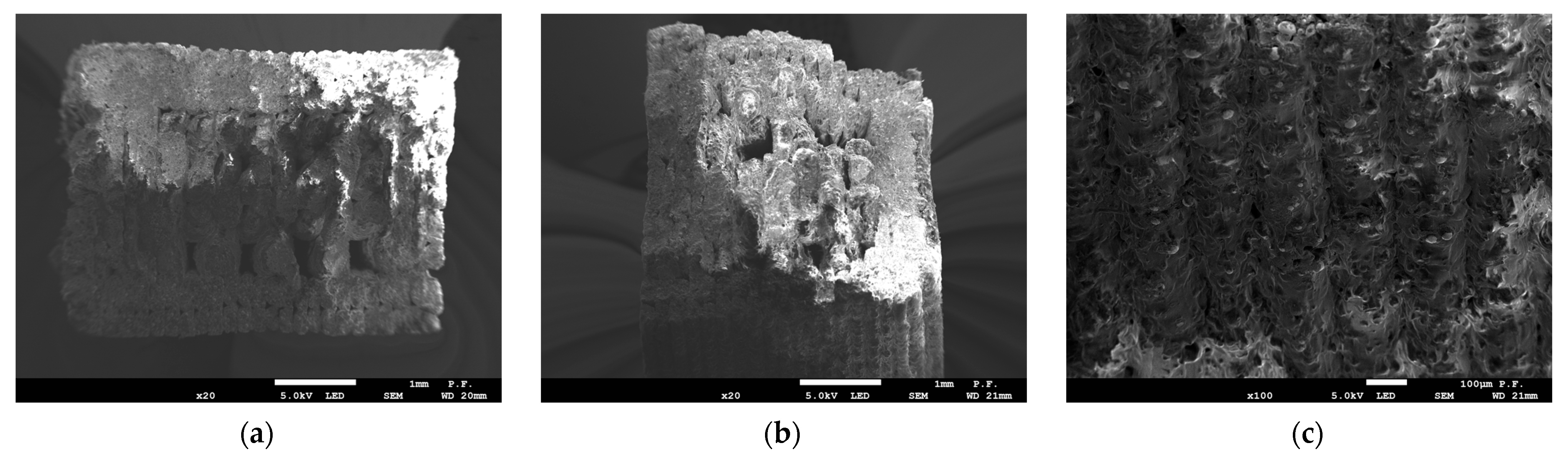 Materials 16 03241 g010