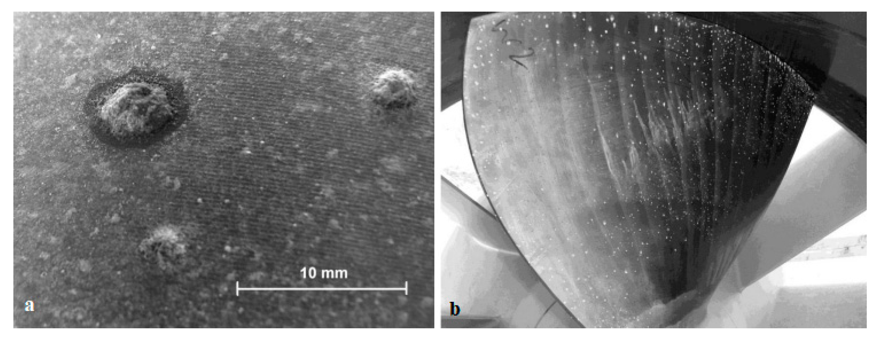 Materials 16 03303 g006