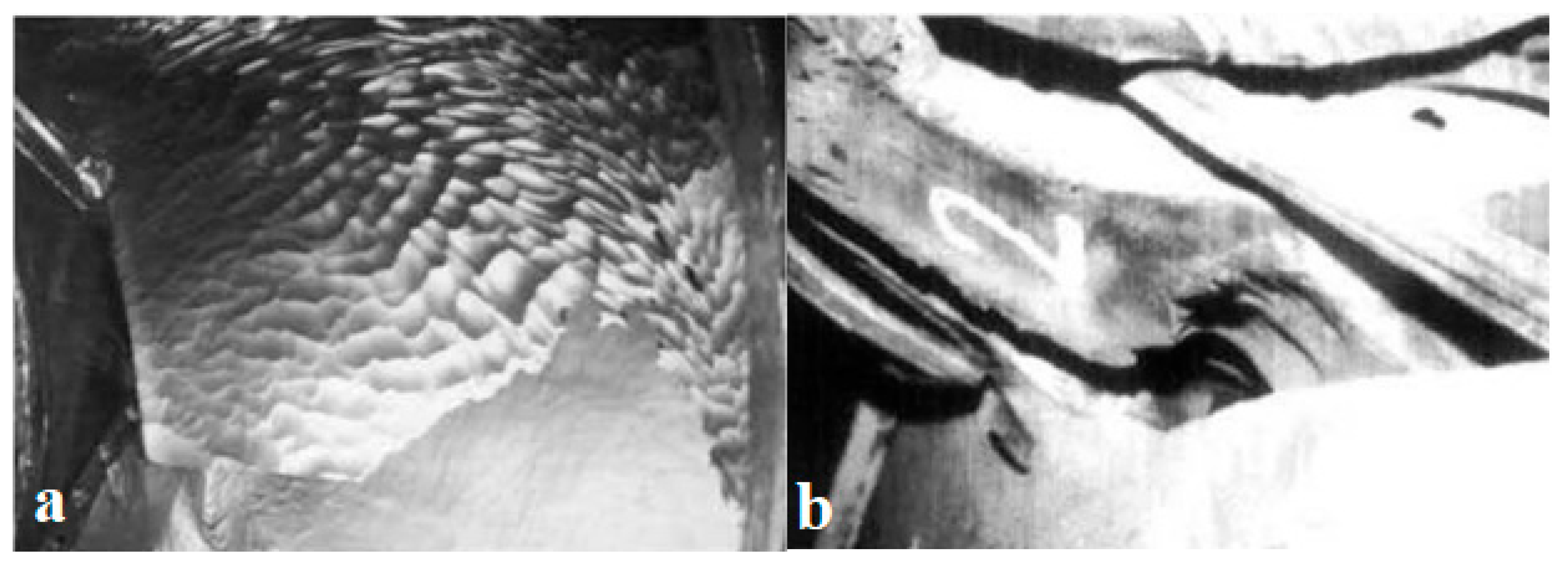 Materials 16 03303 g019