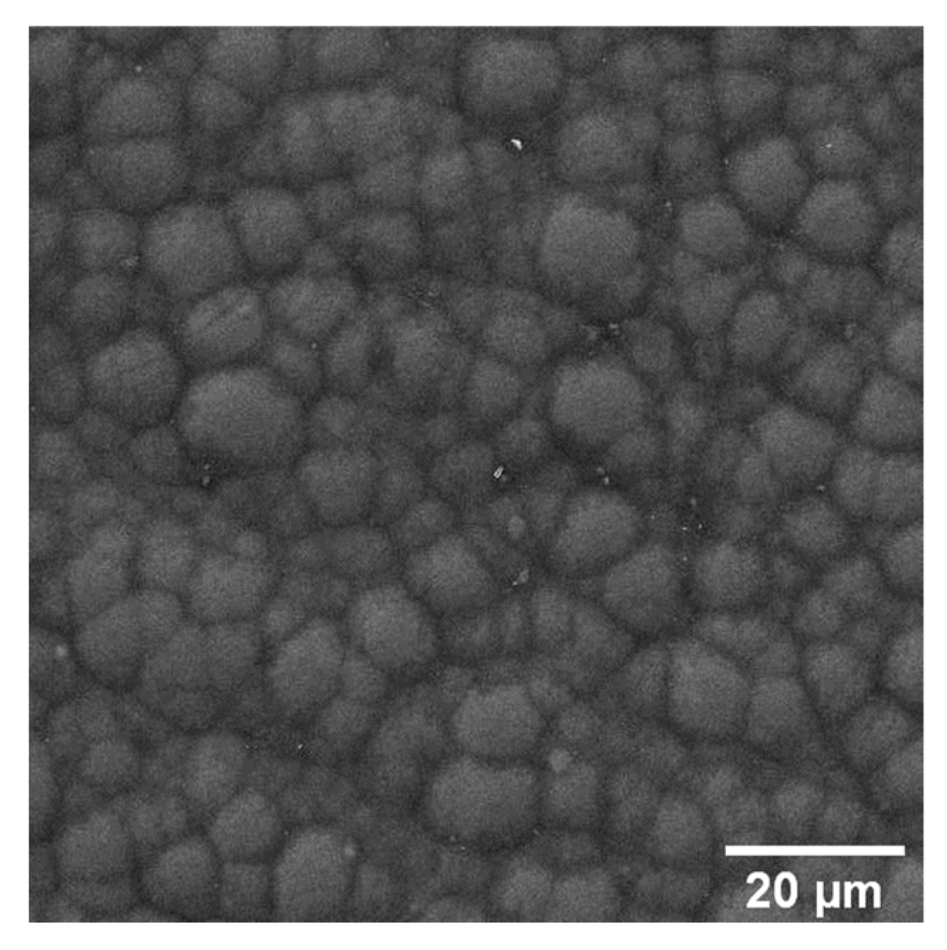 Materials 16 03313 g005