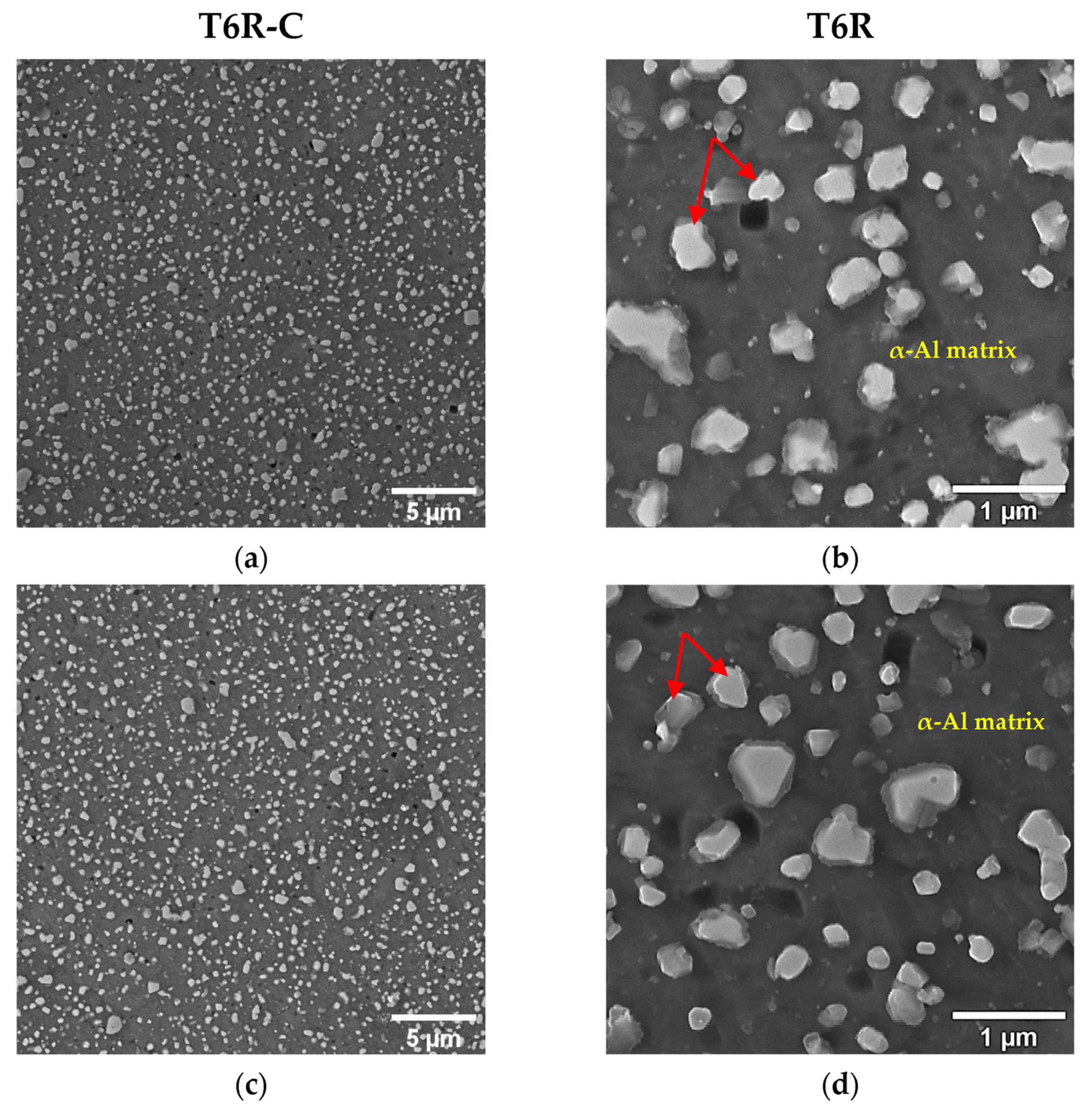 Materials 16 03313 g008