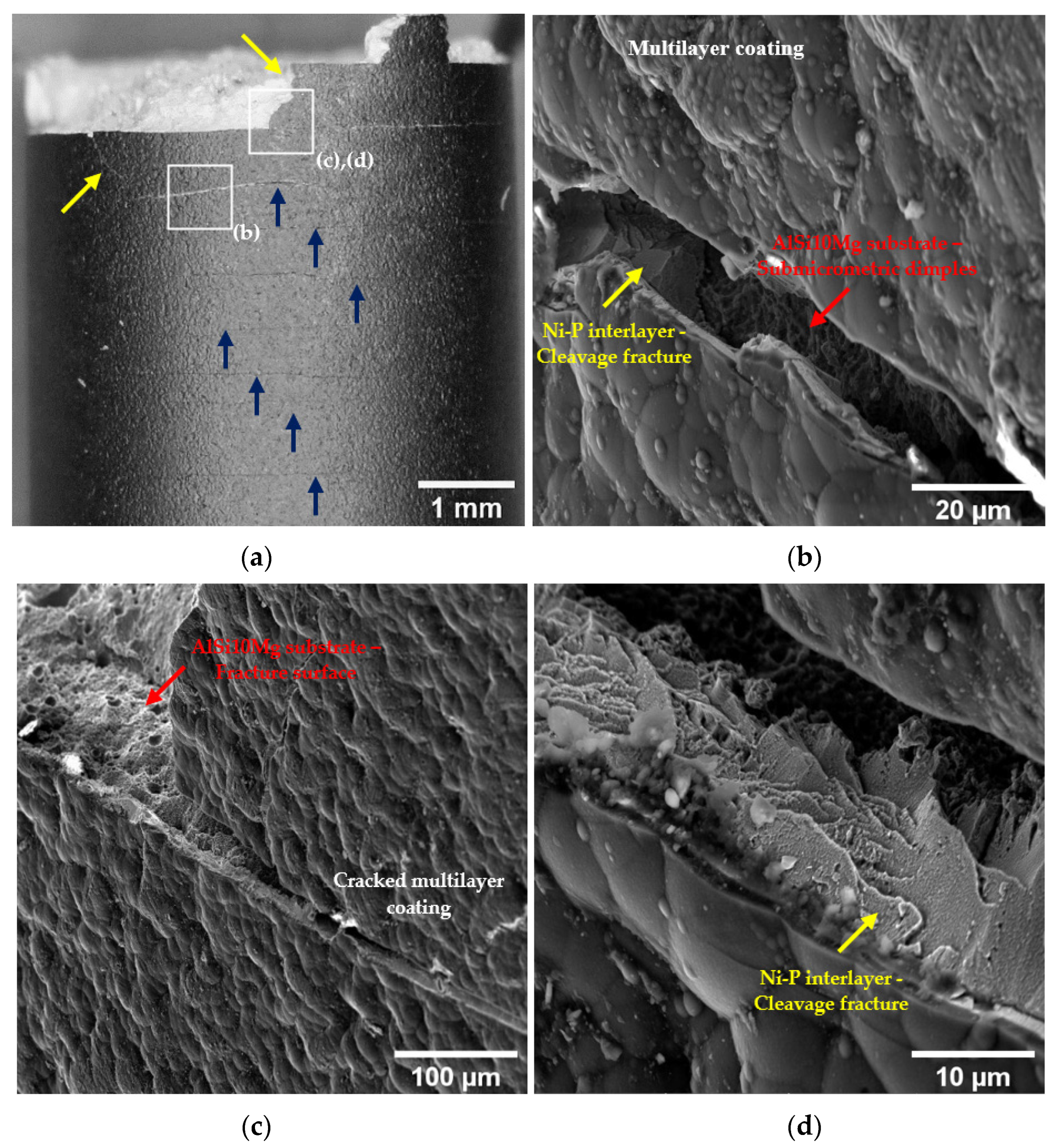 Materials 16 03313 g012