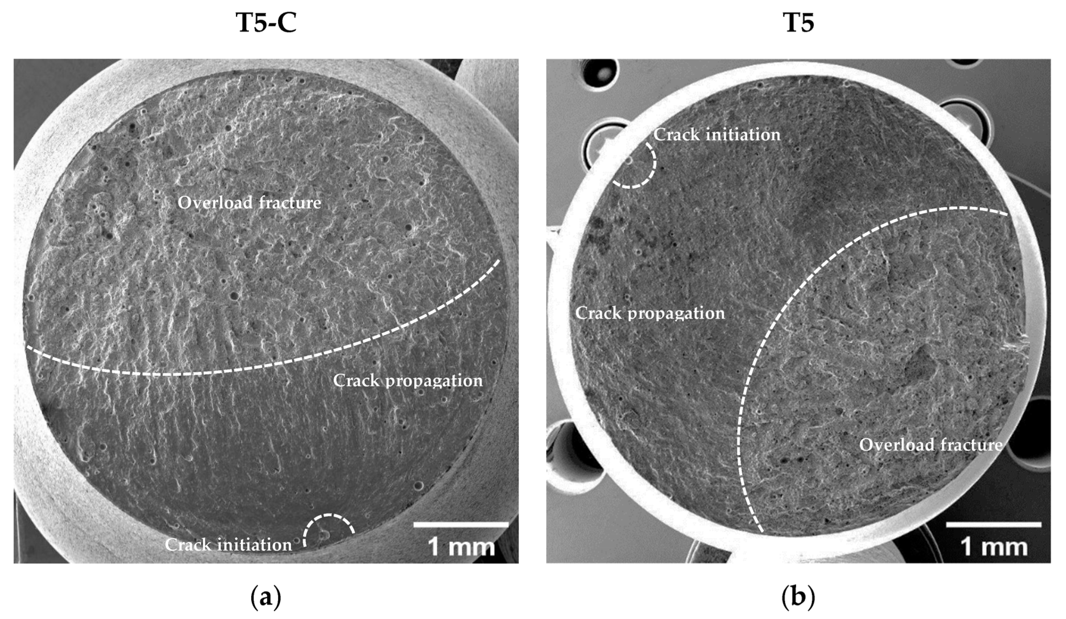 Materials 16 03313 g017a