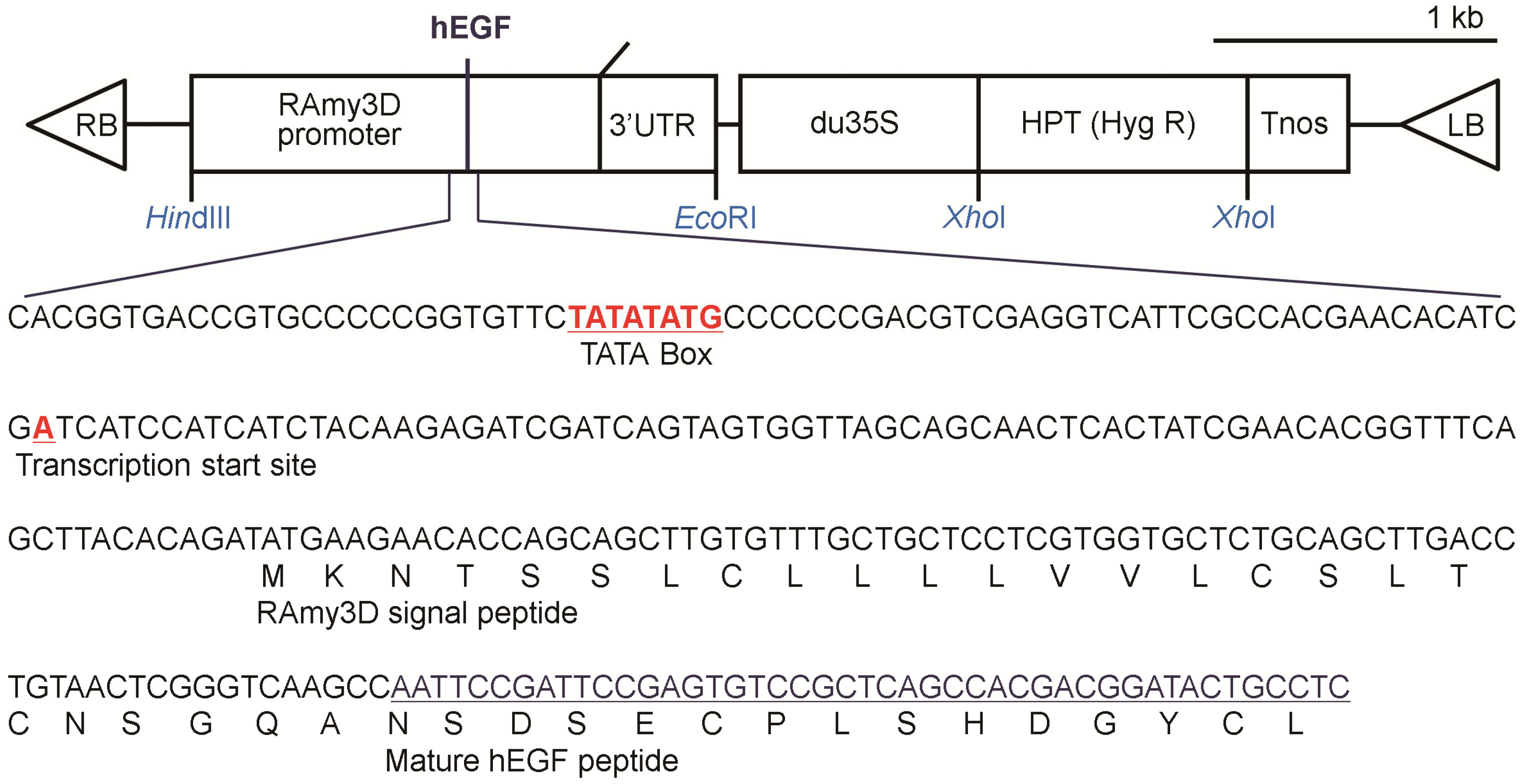 Materials 16 03335 g001