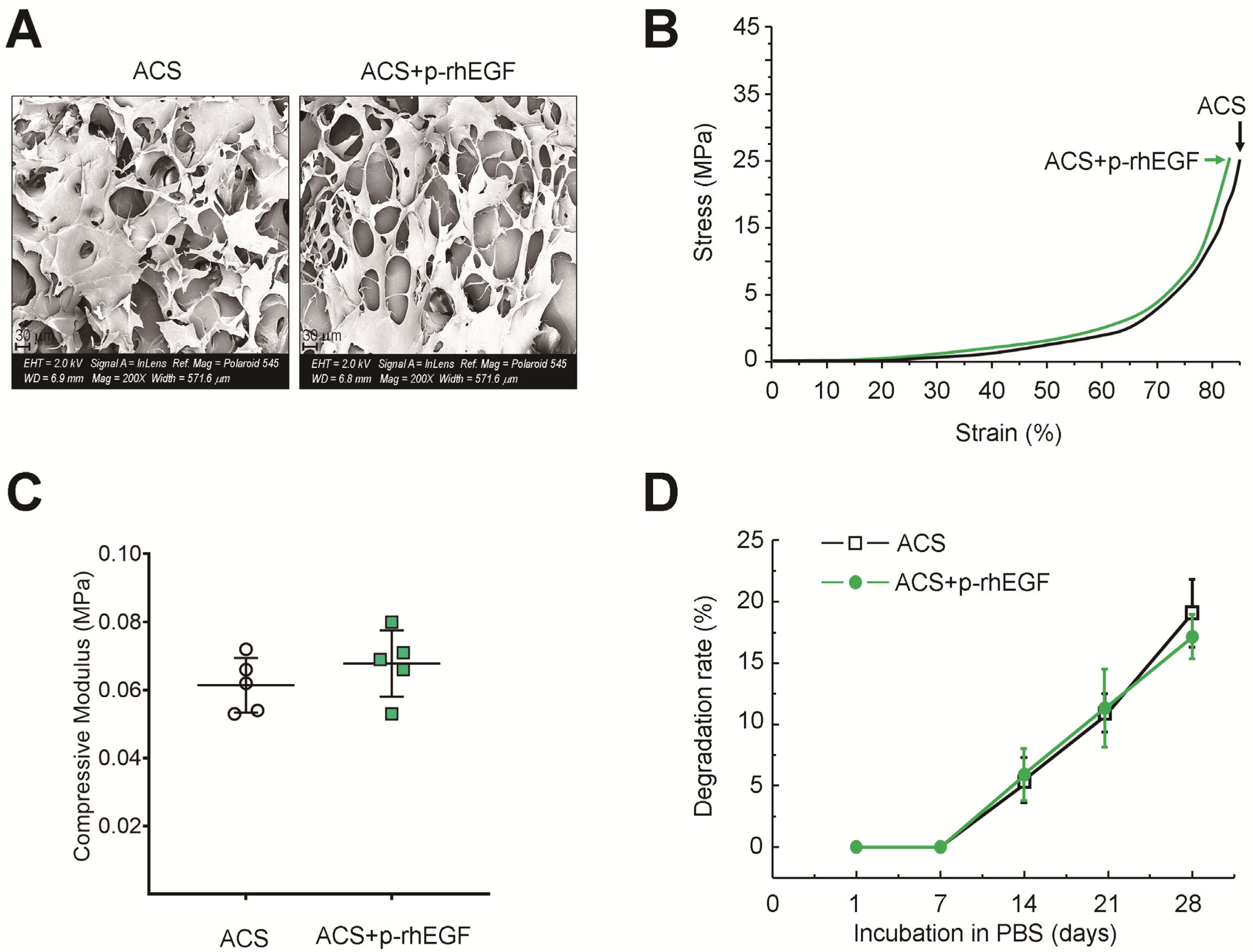 Materials 16 03335 g003