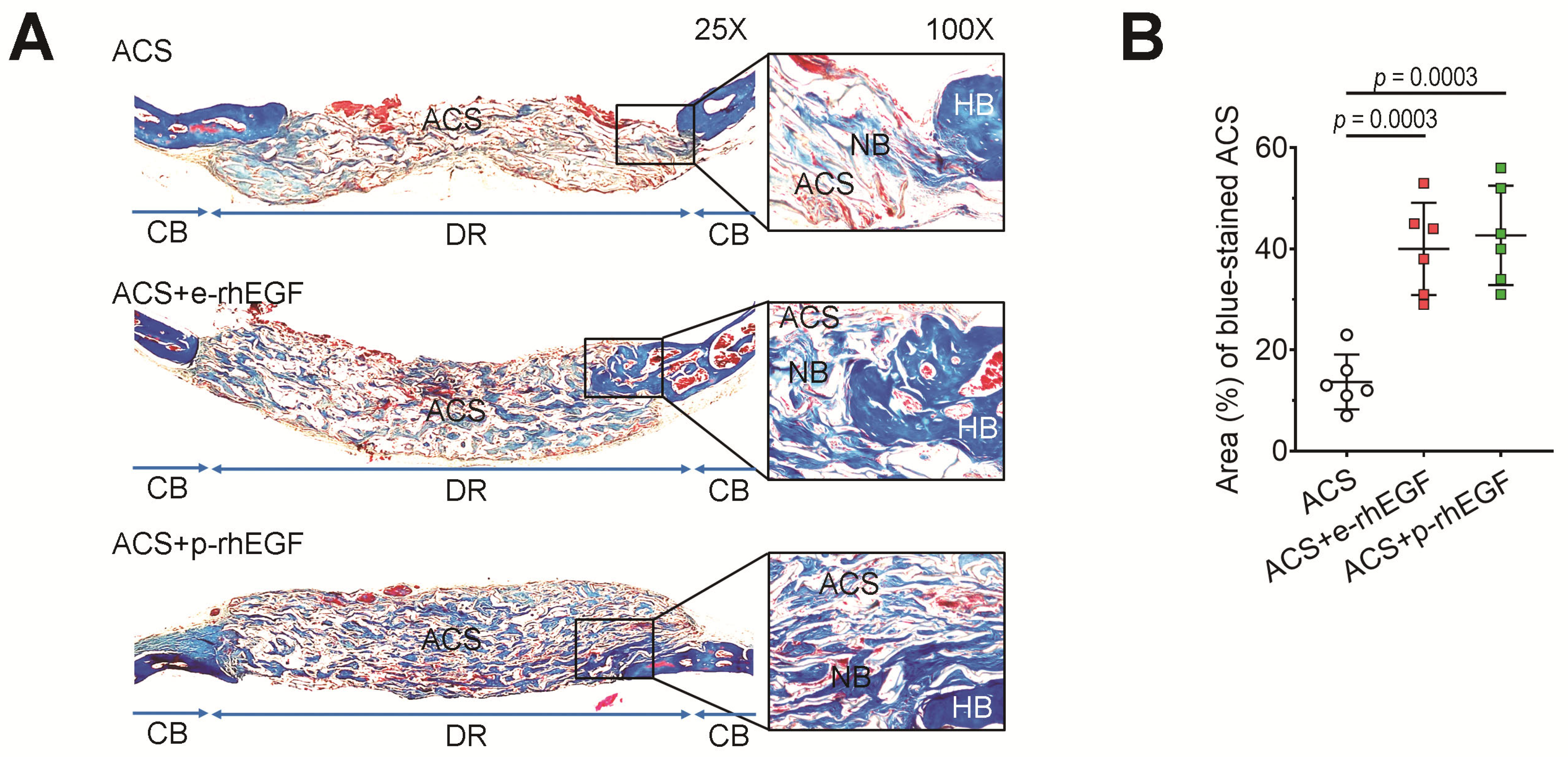 Materials 16 03335 g005