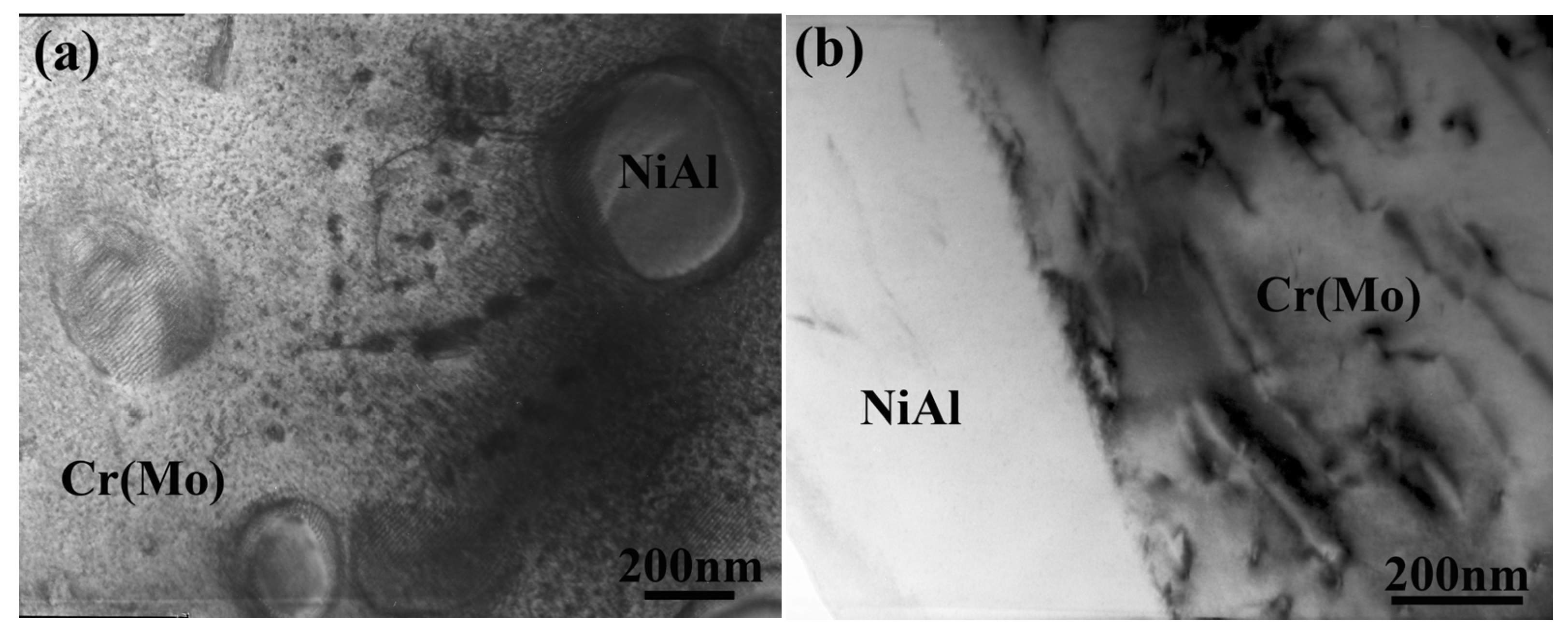 Materials 16 03362 g008