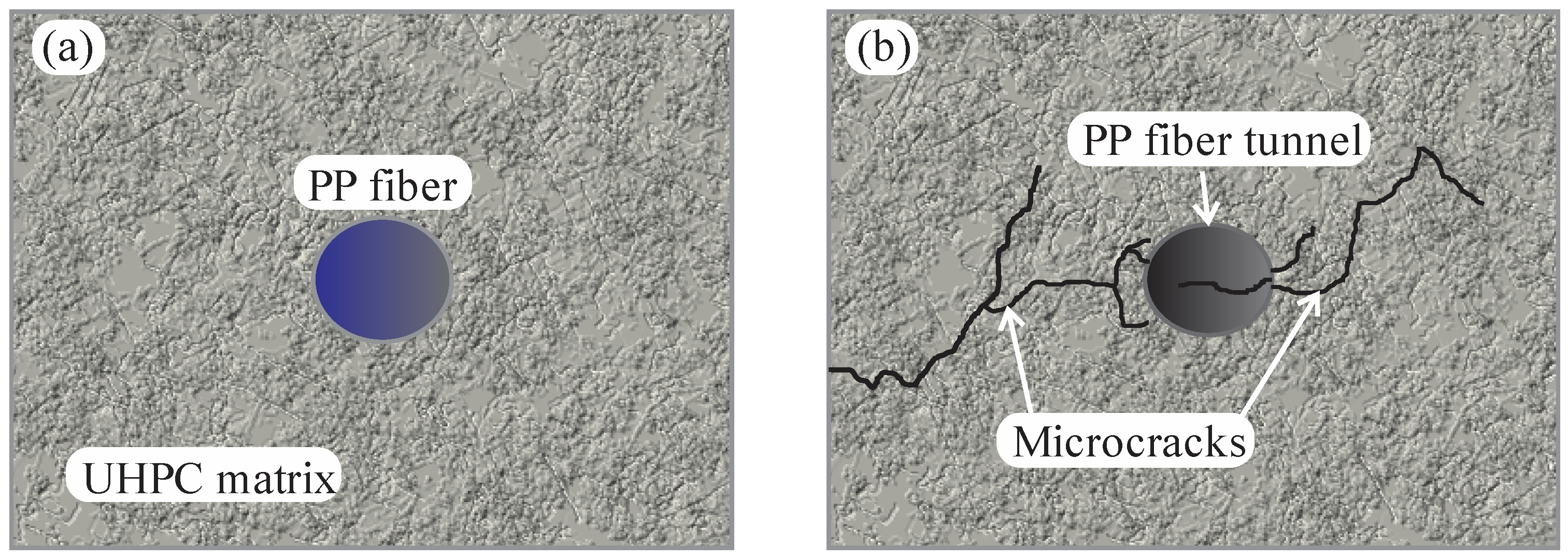 Materials 16 03365 g012