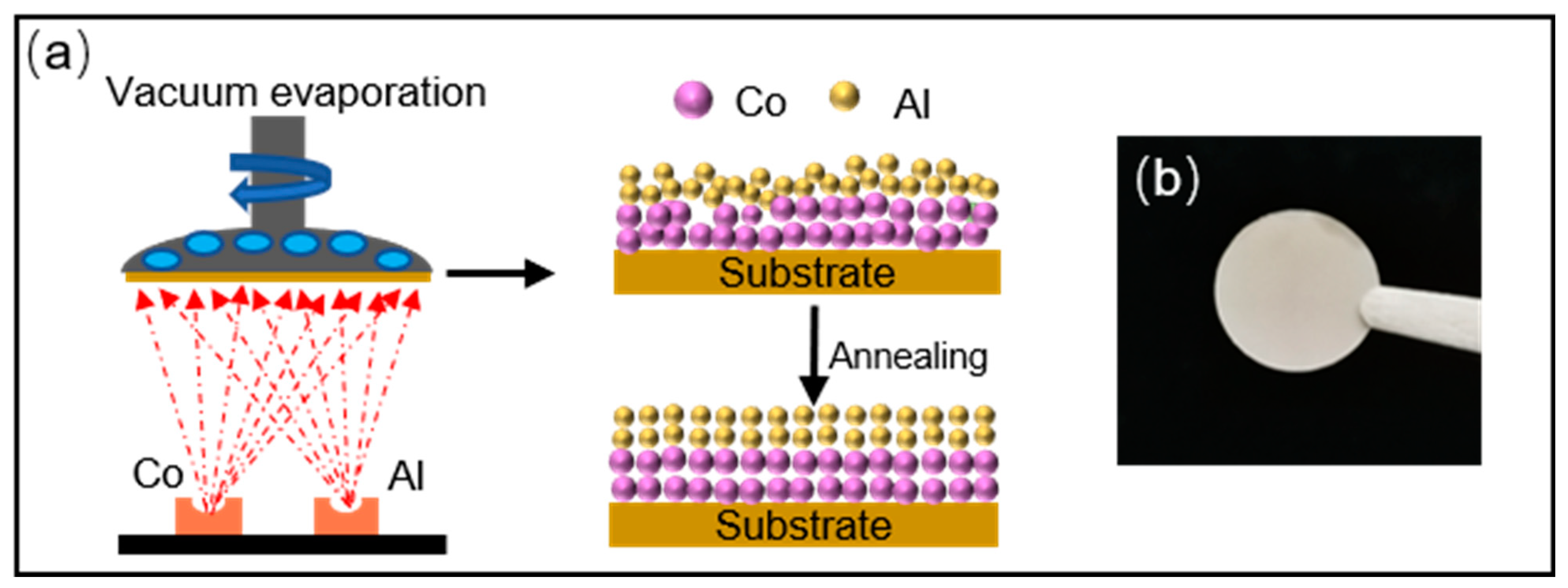 Materials 16 03395 g001