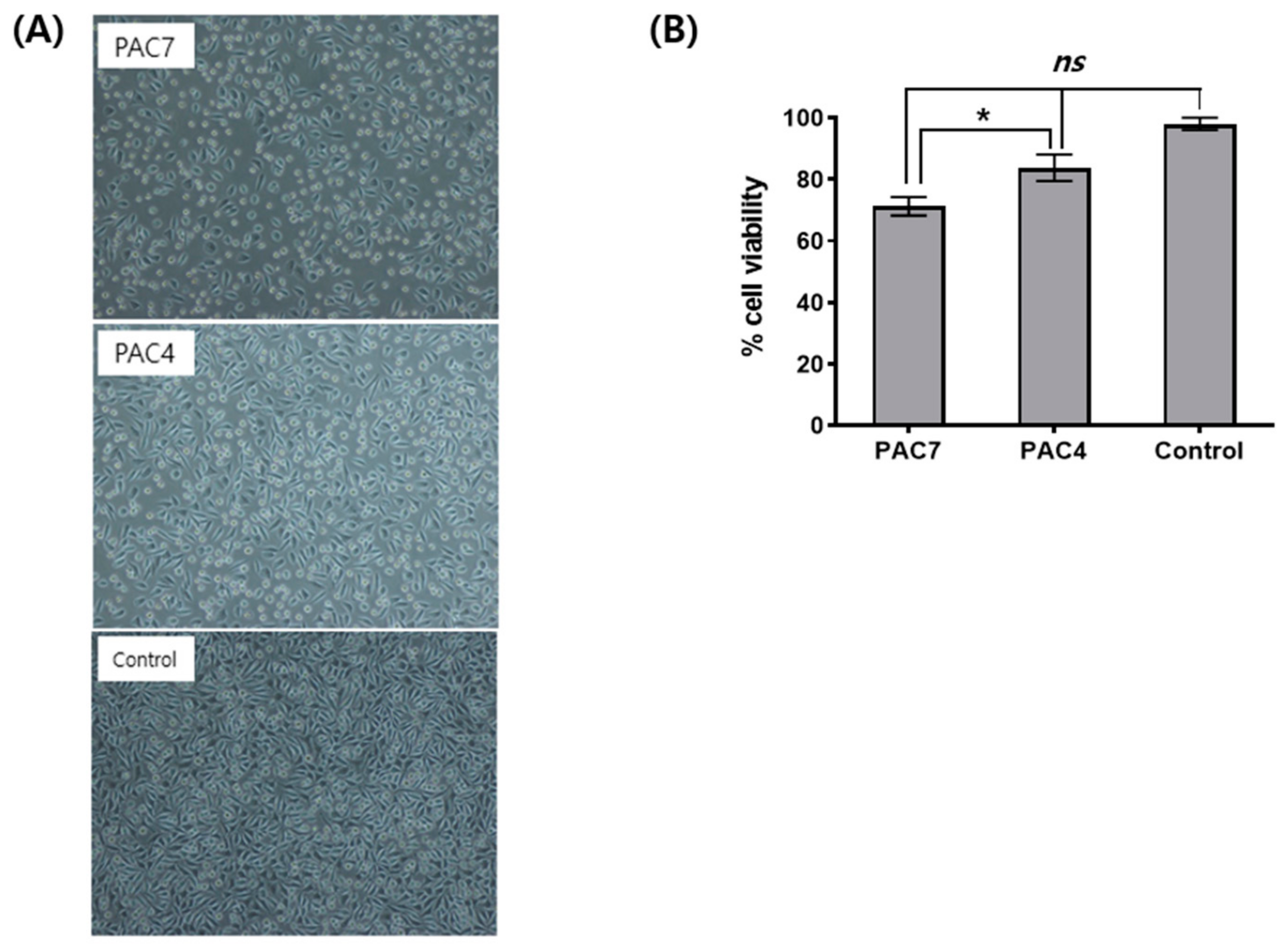 Materials 16 03427 g002 Materials 16 03427 g002