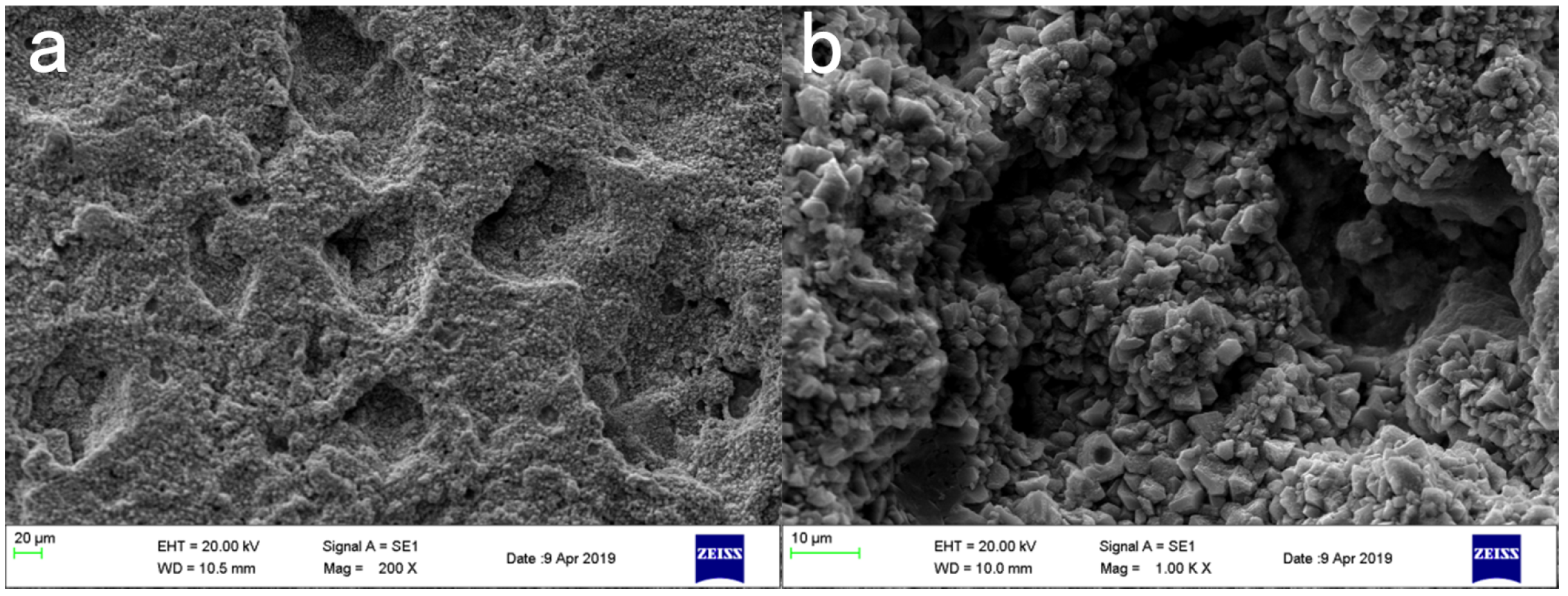 Materials 16 03463 g008