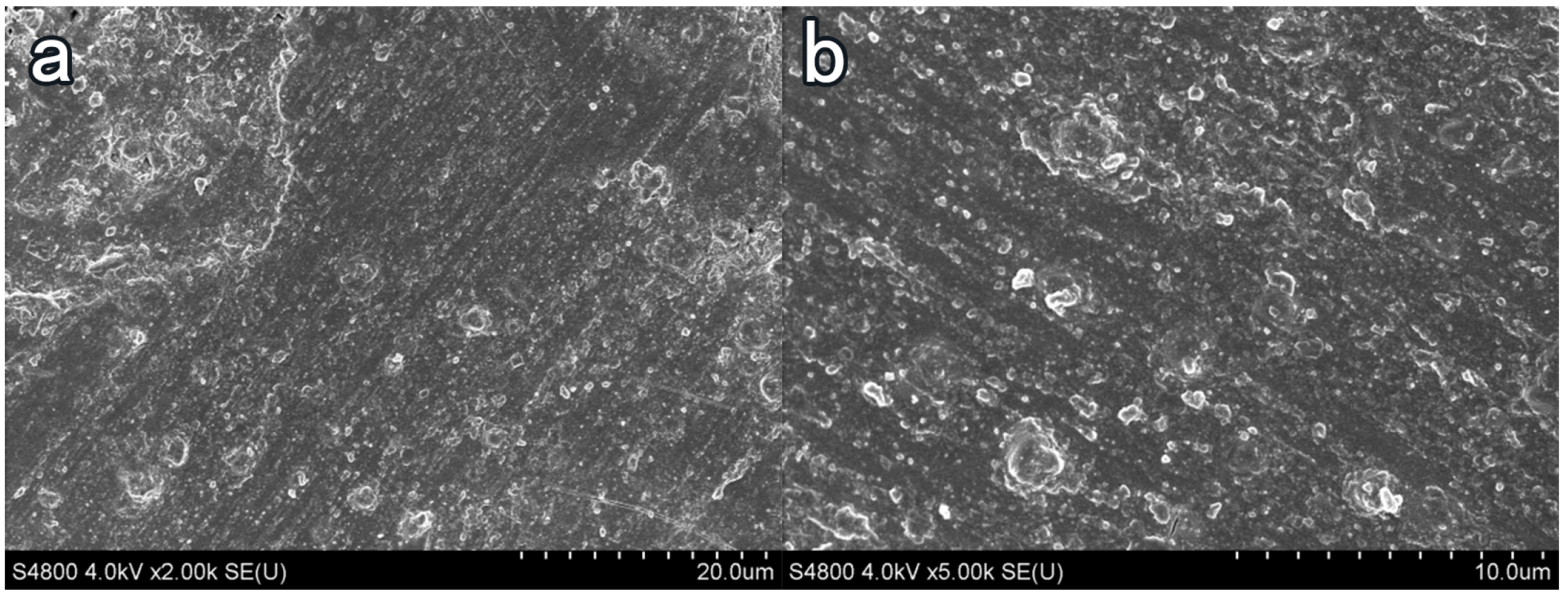 Materials 16 03463 g009