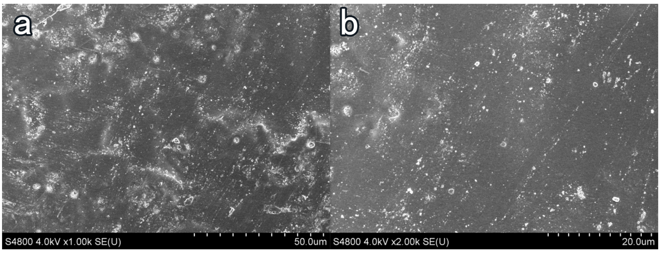 Materials 16 03463 g010