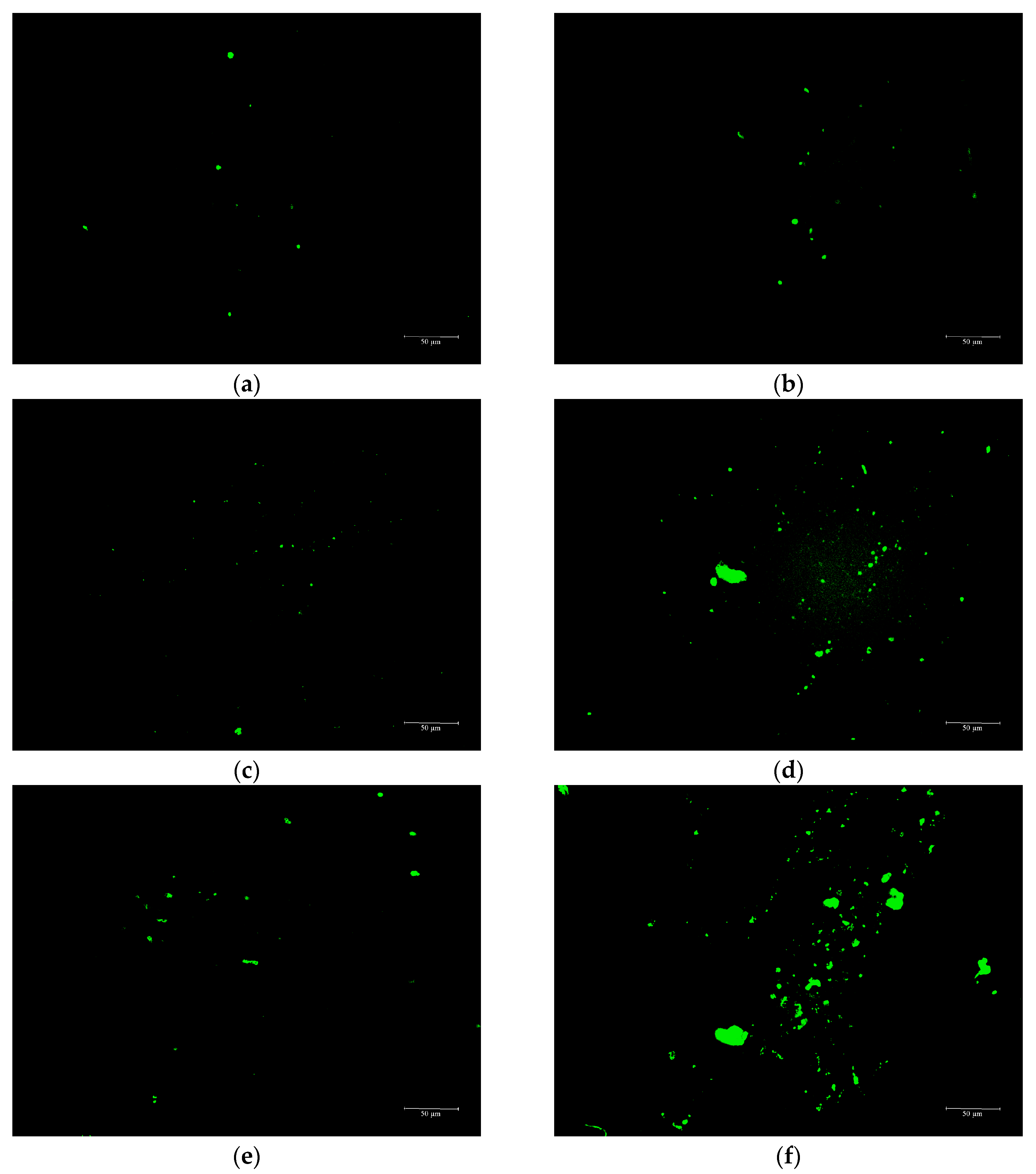 Materials 16 03469 g008