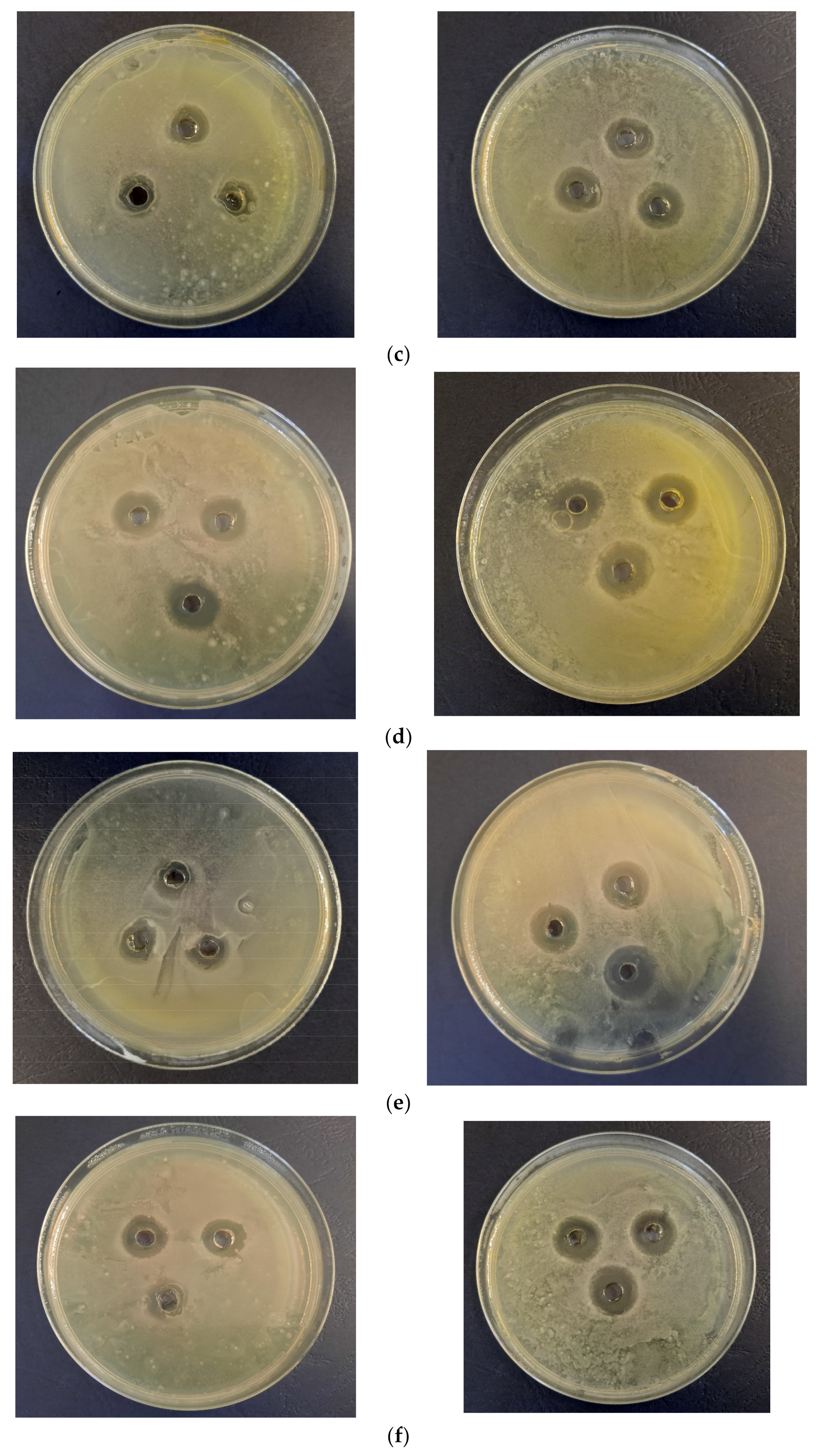Materials 16 03472 g010b Materials 16 03472 g010b