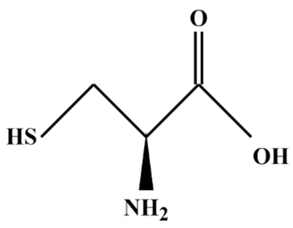 Materials 16 03496 g001