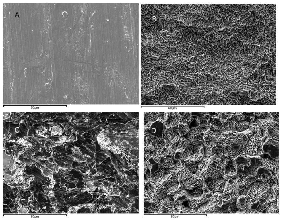 Materials 16 03553 g002 Materials 16 03553 g002