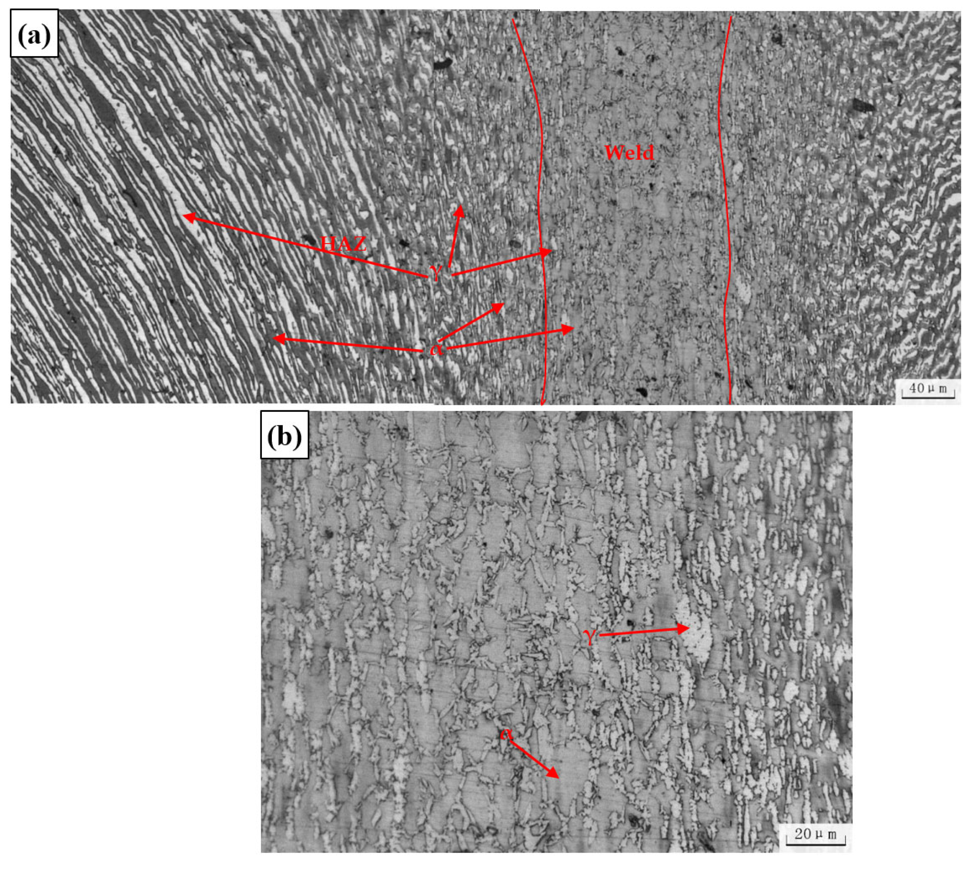 Materials 16 03569 g007