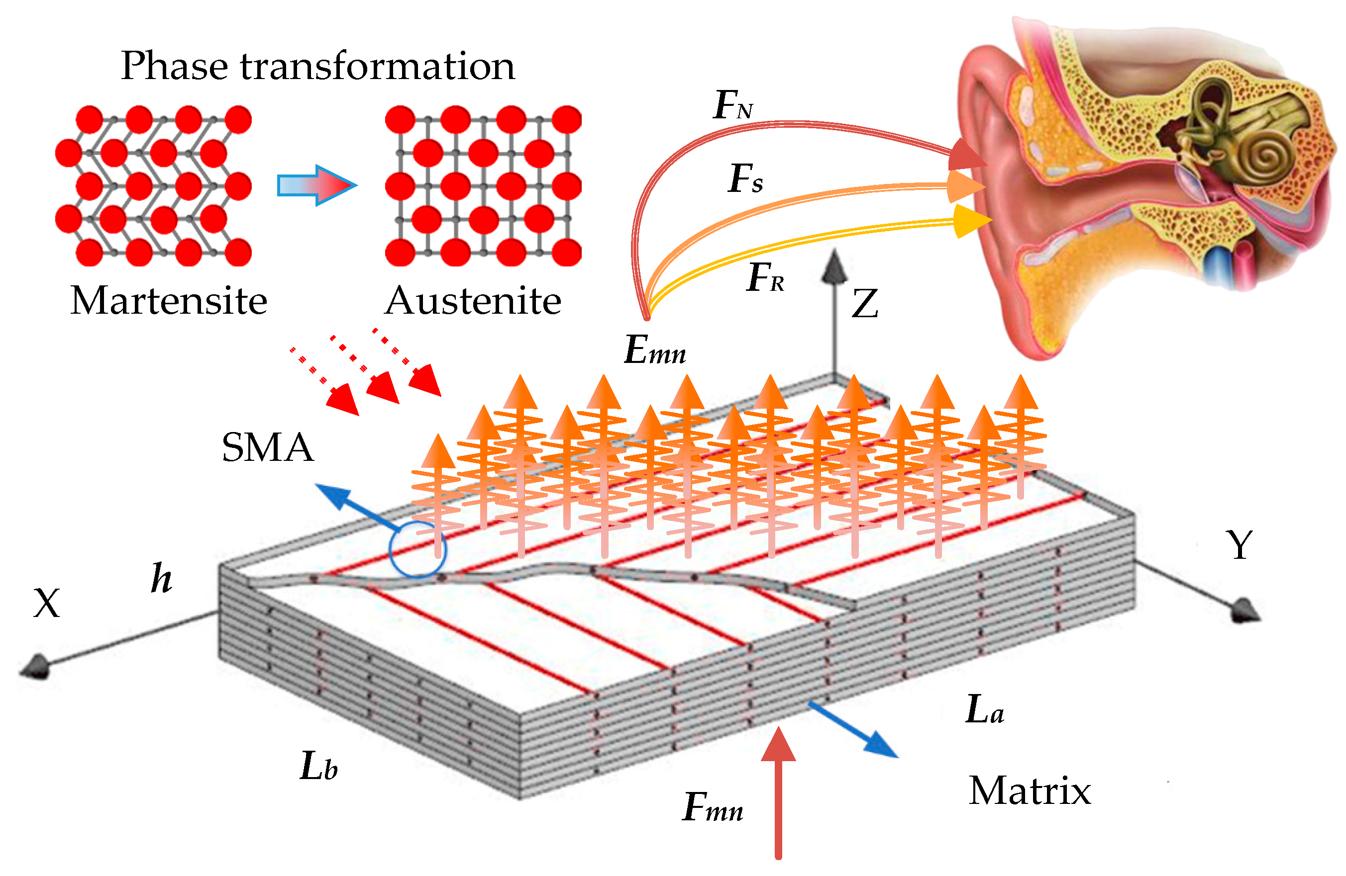 Materials 16 03570 g001 Materials 16 03570 g001