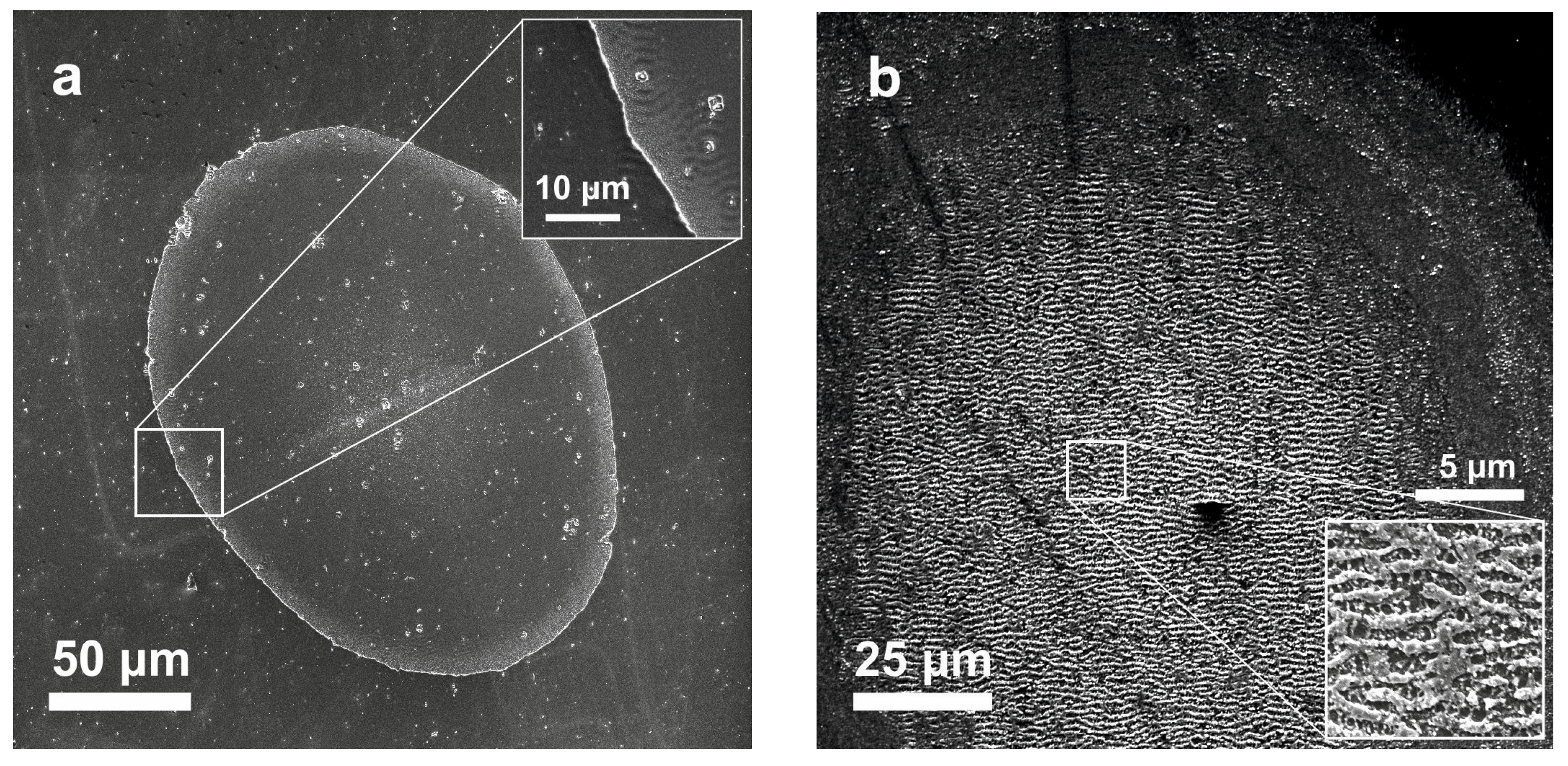 Materials 16 03572 g003