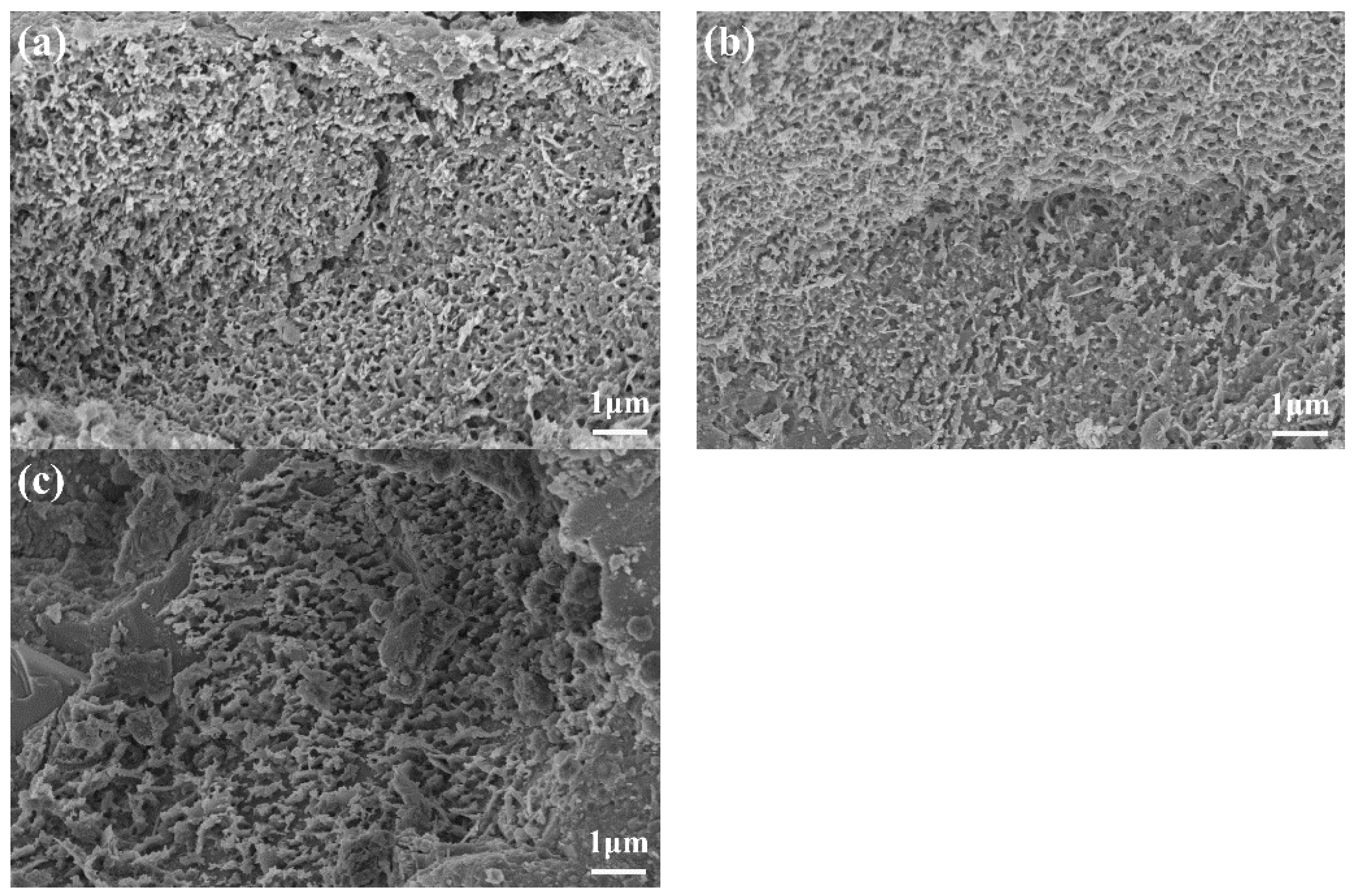 Materials 16 03581 g019 Materials 16 03581 g019