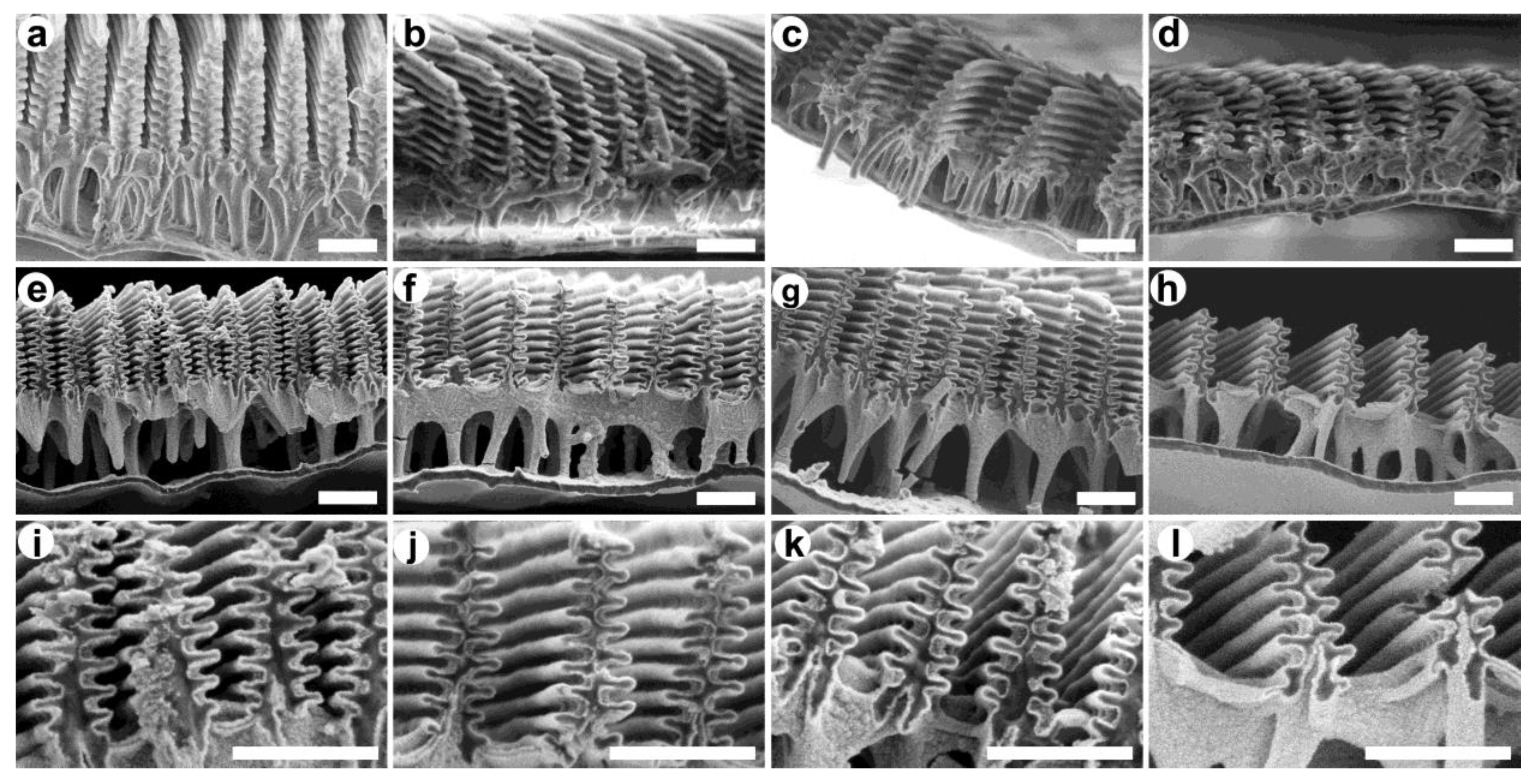 Materials 16 03584 g003