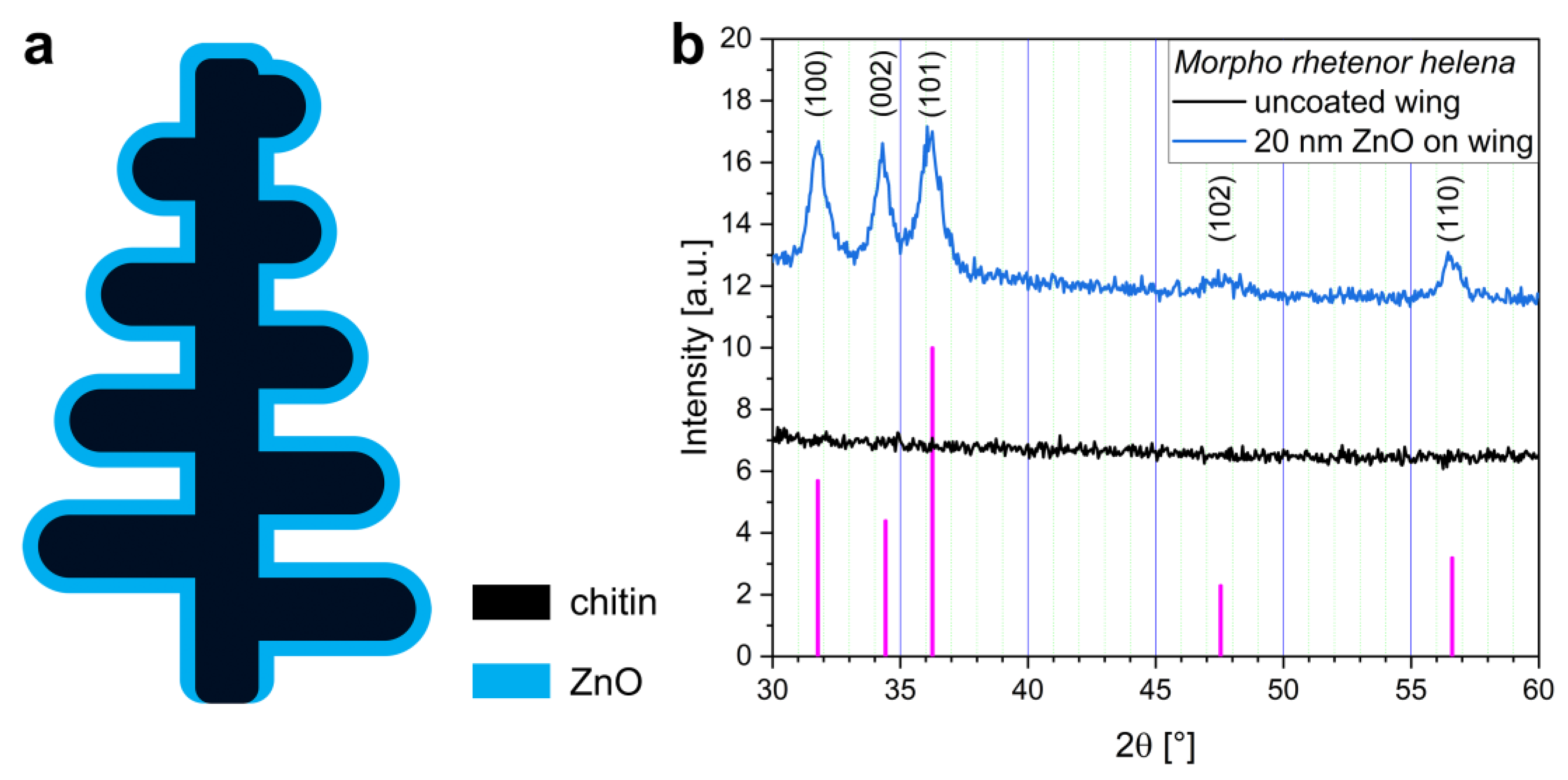 Materials 16 03584 g004