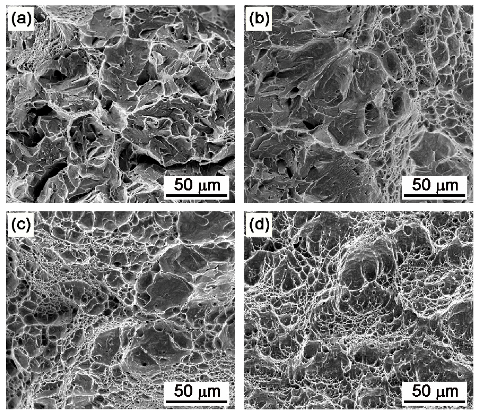 Materials 16 03630 g004