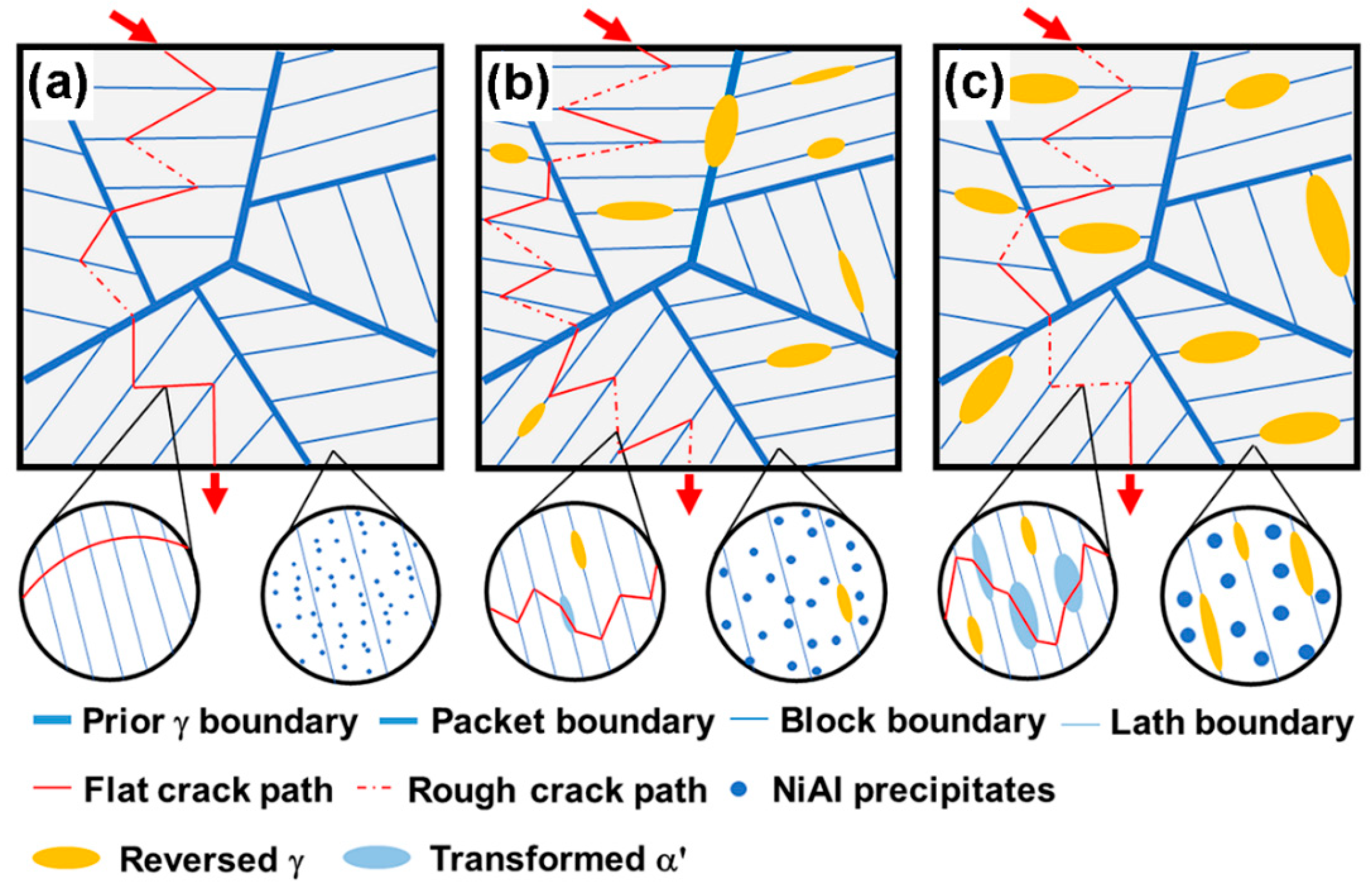 Materials 16 03630 g013