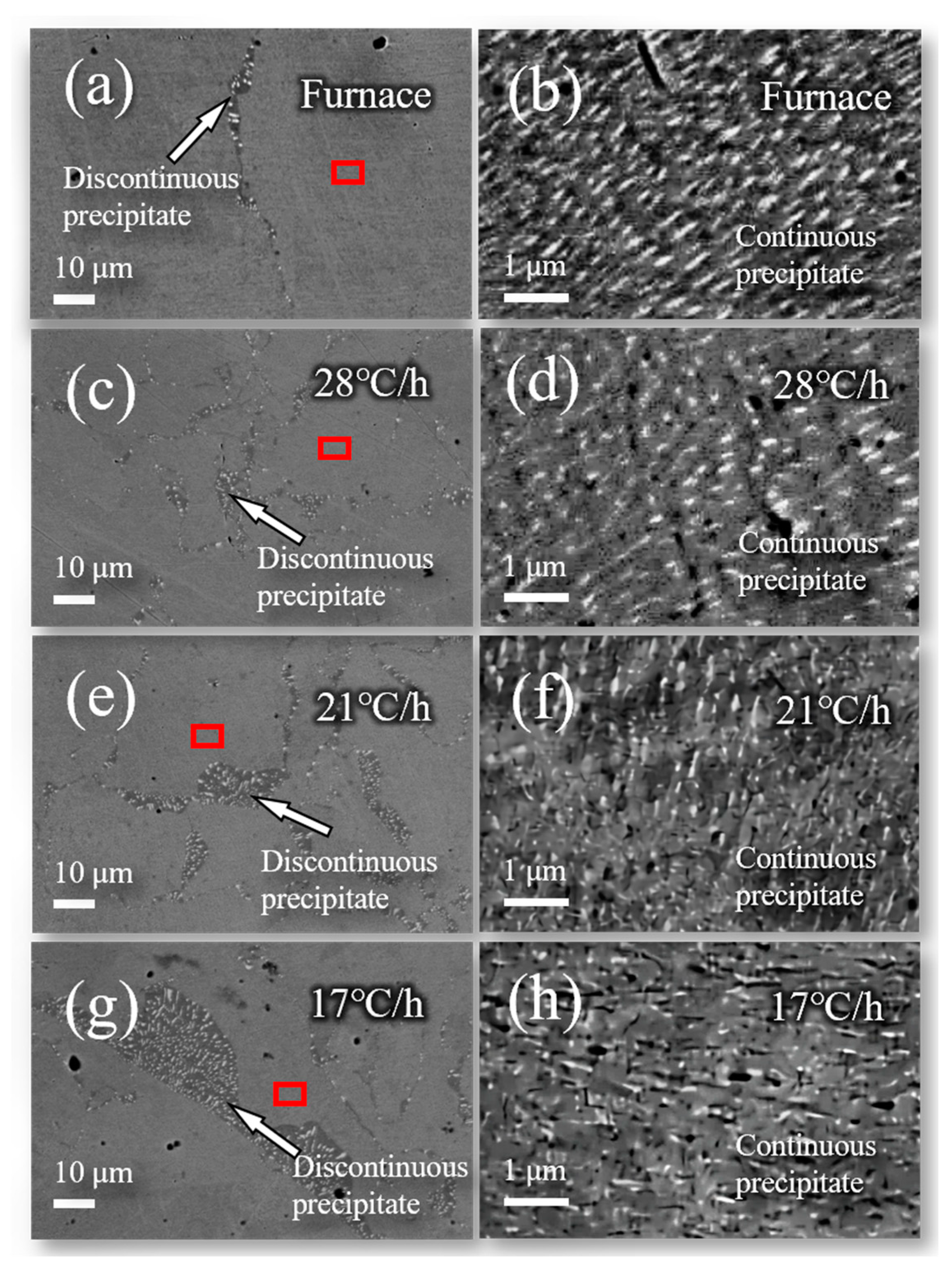 Materials 16 03632 g002